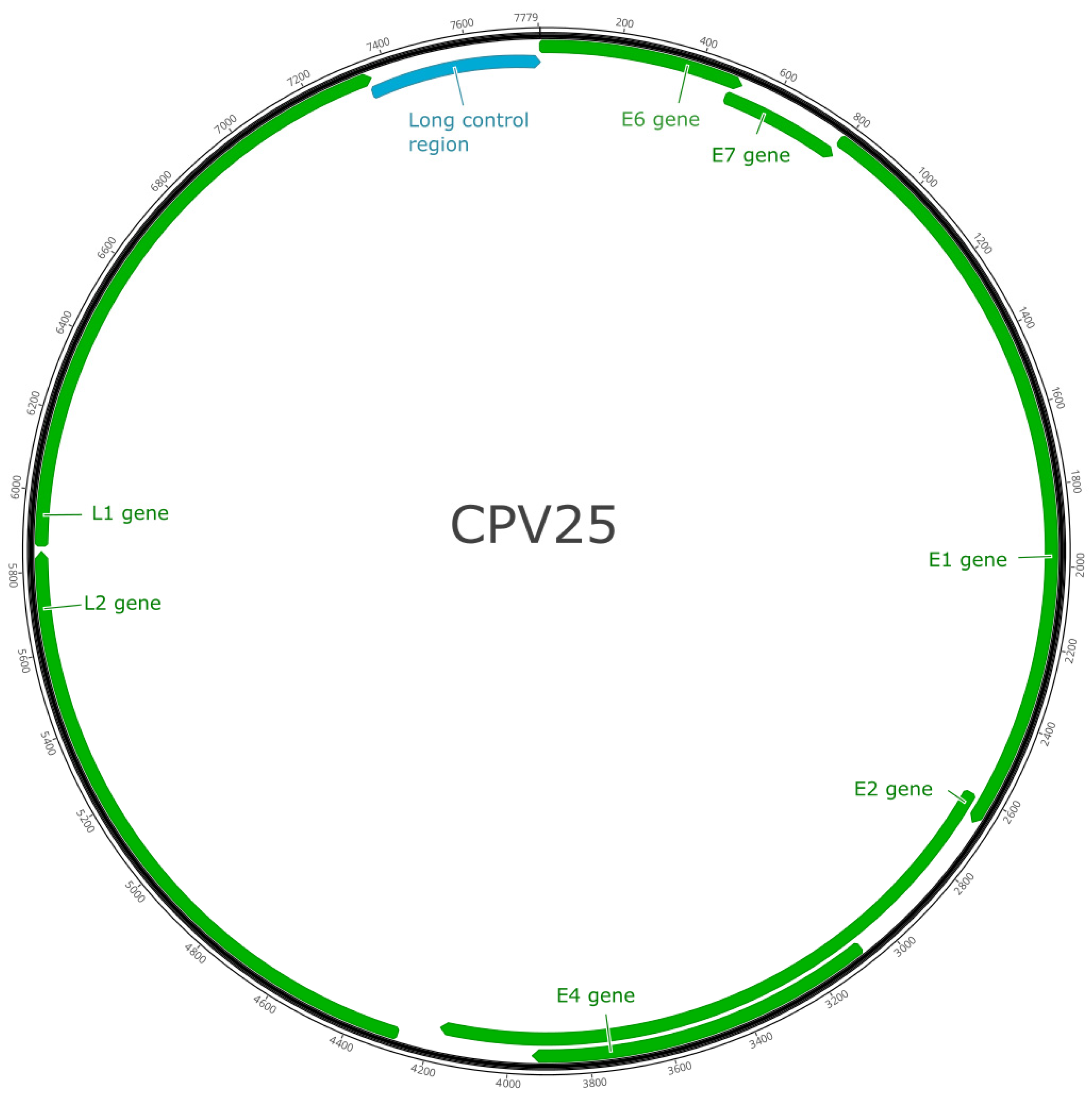 Animals 13 01859 g002