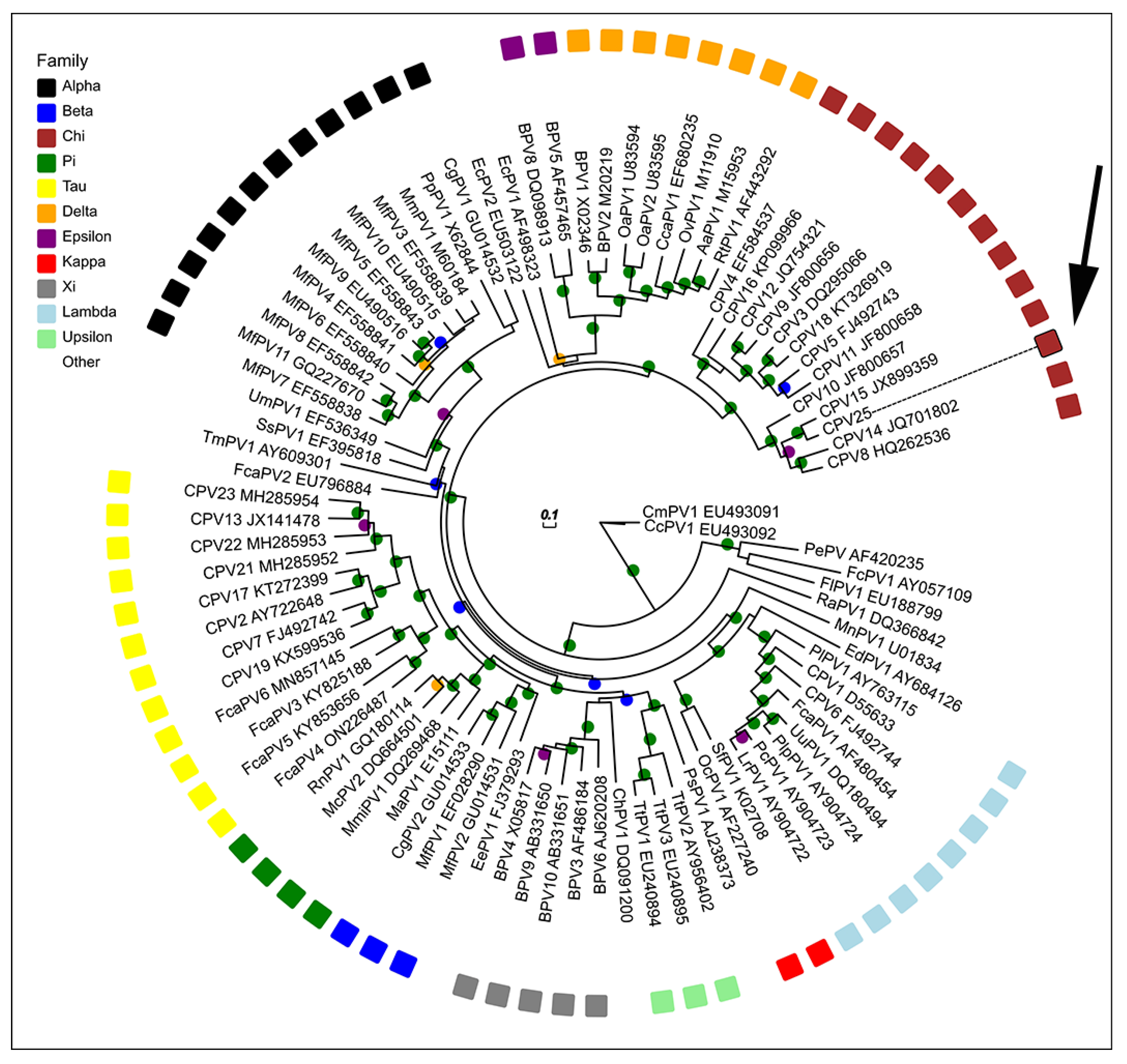 Animals 13 01859 g003