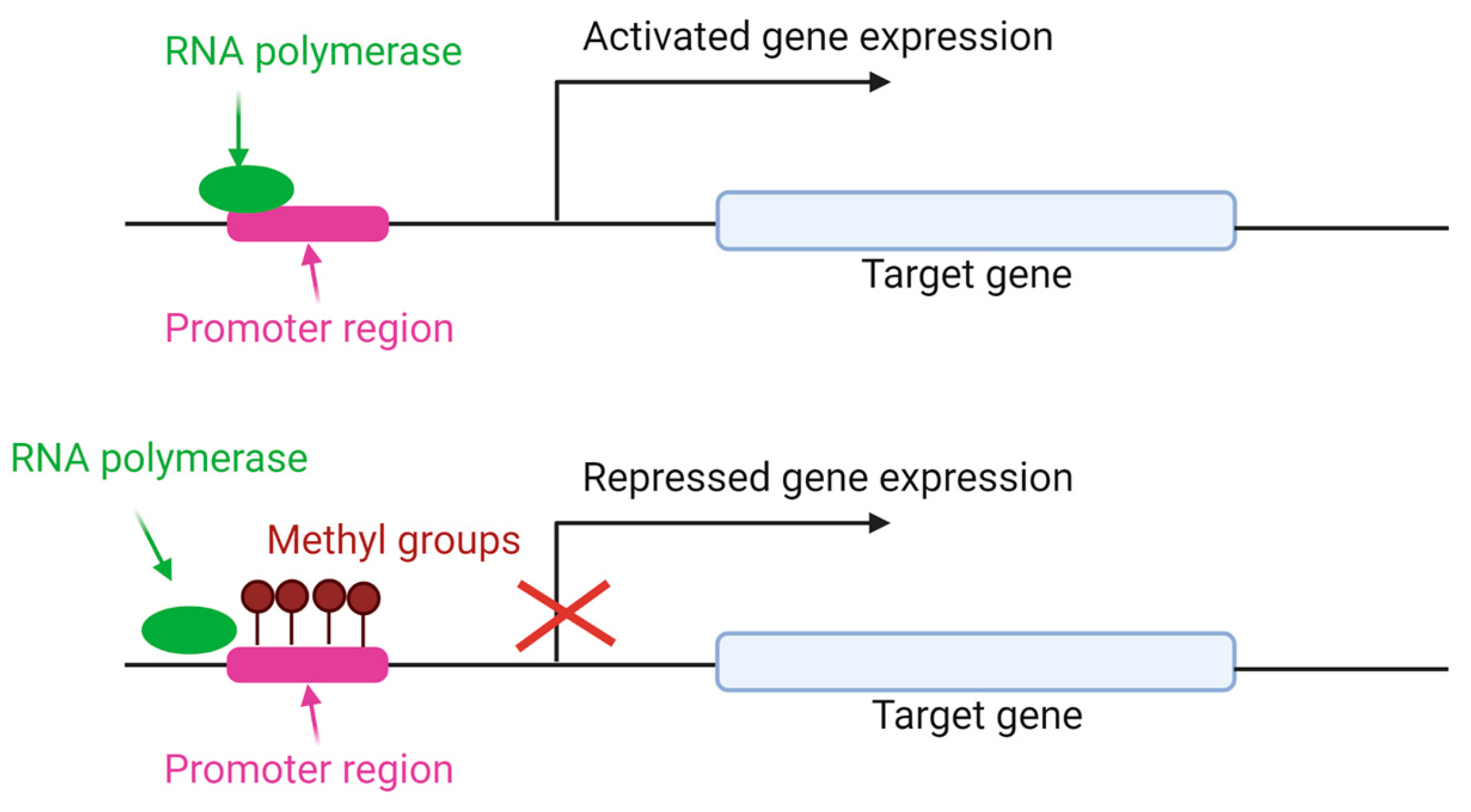 Animals 13 01883 g004