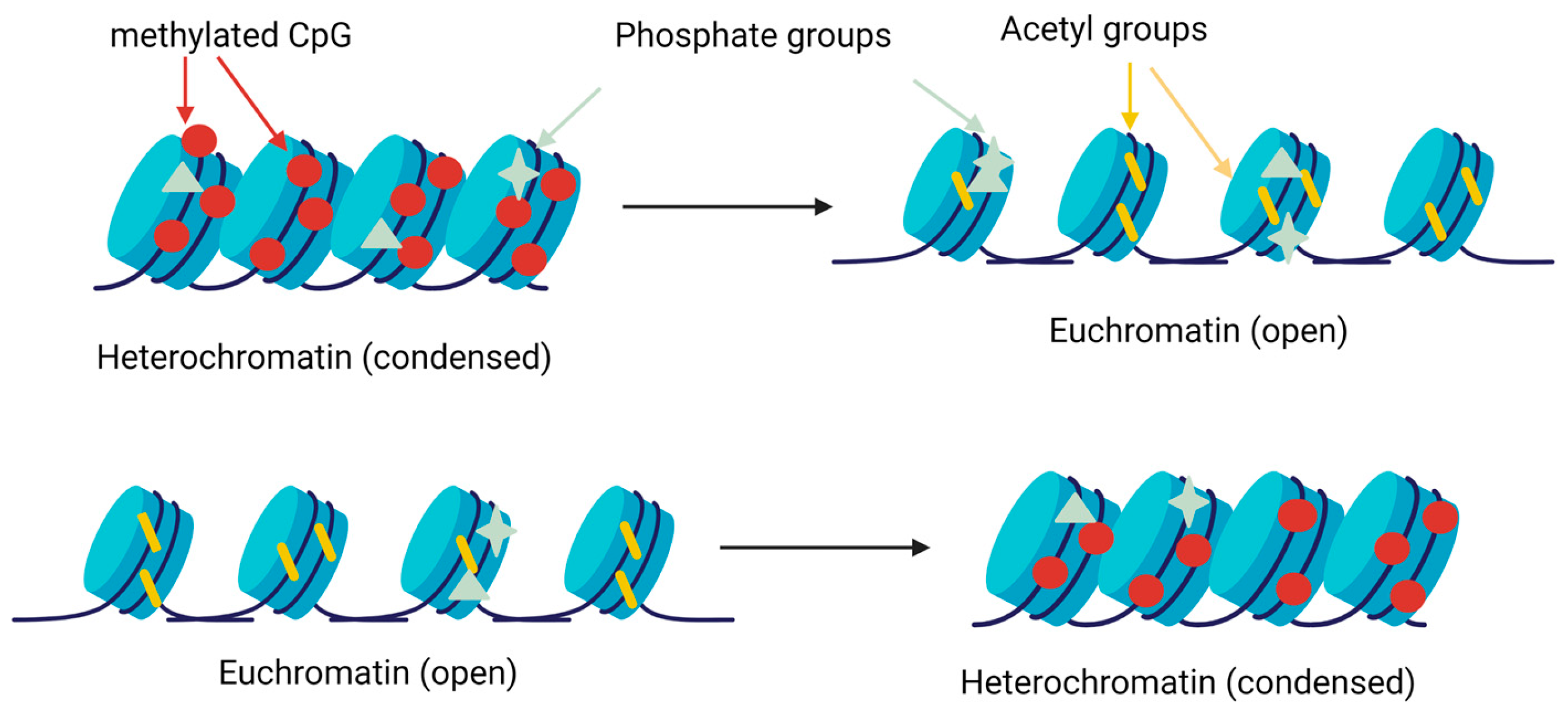 Animals 13 01883 g005