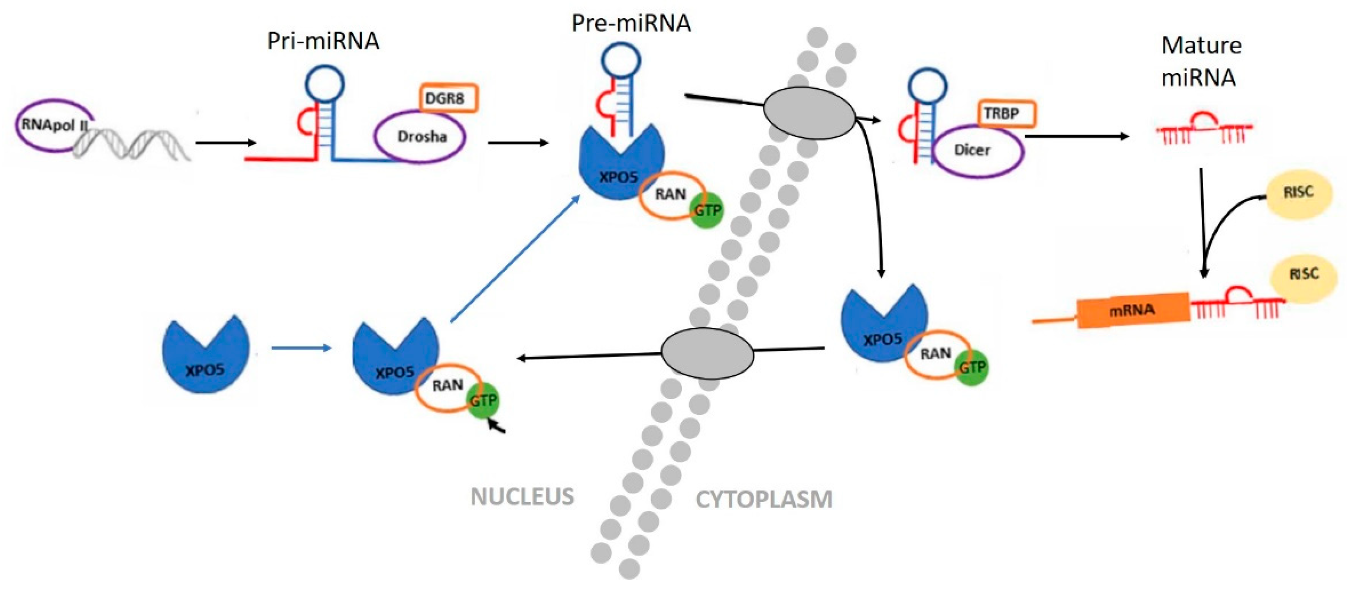 Animals 13 01883 g006