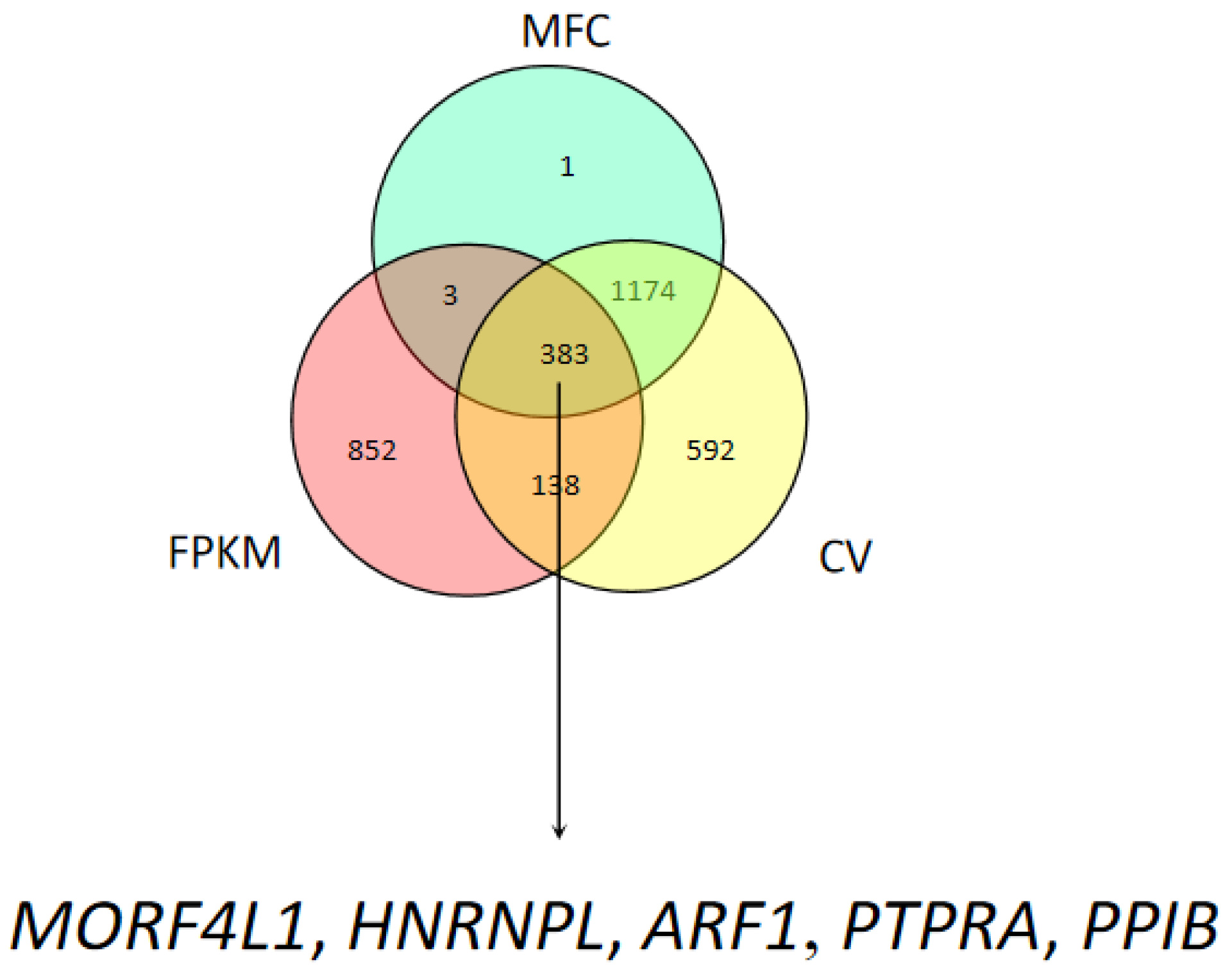 Animals 13 01897 g002