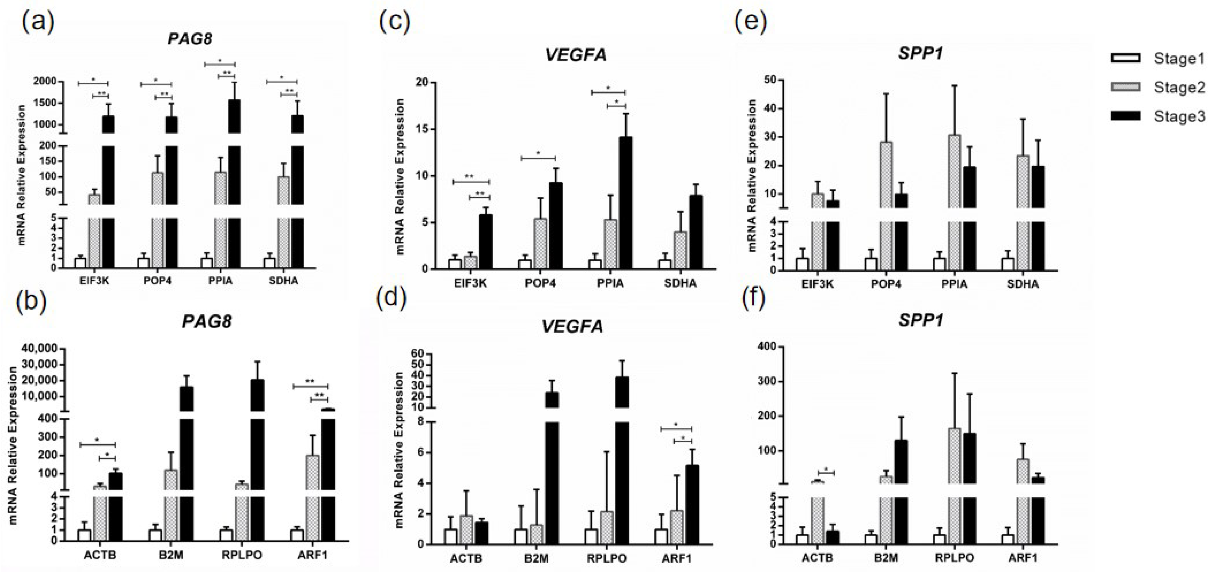 Animals 13 01897 g004