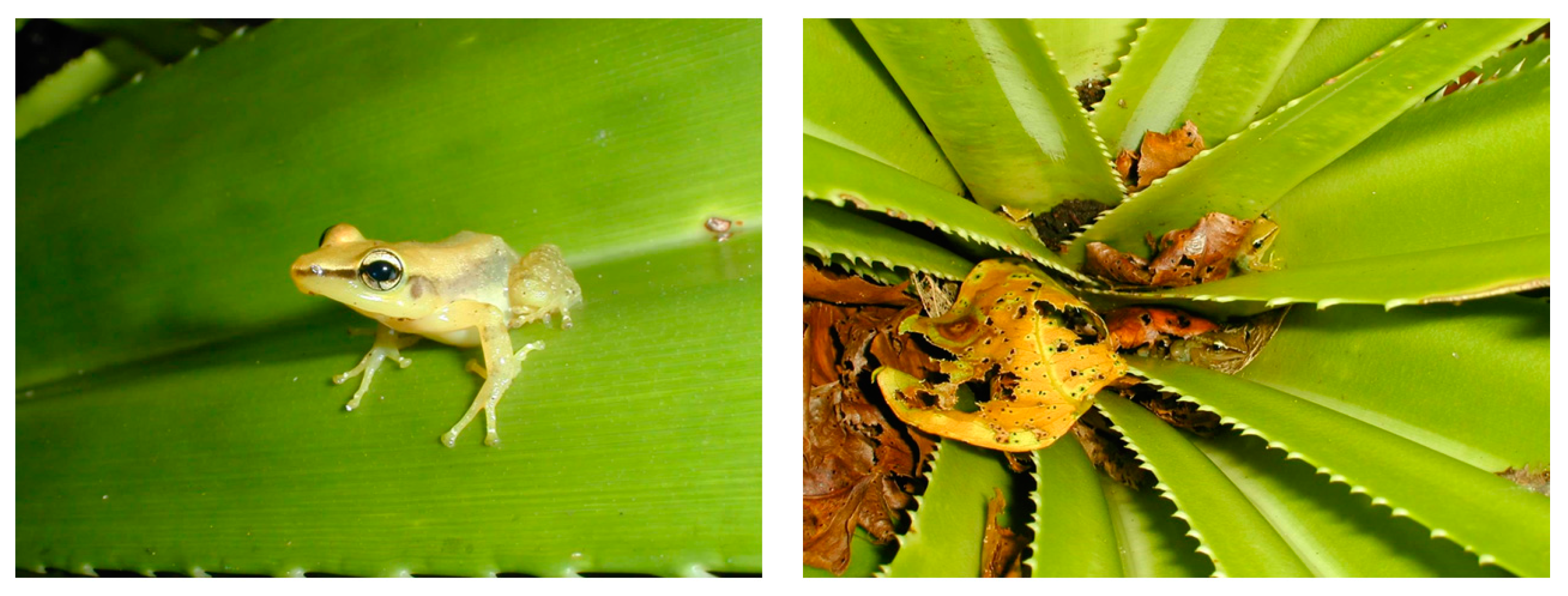 Animals 13 01907 g001