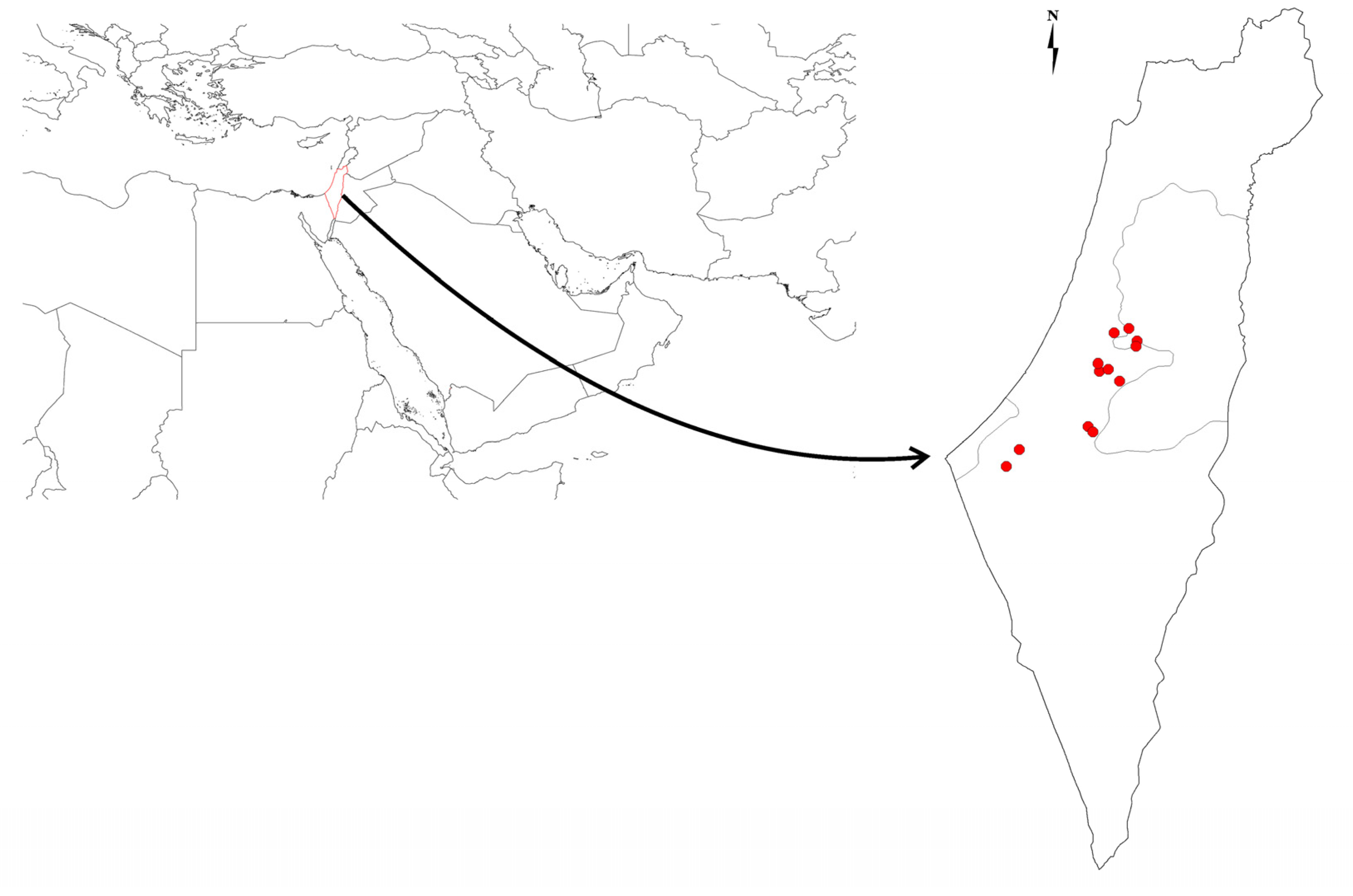 Animals 13 01914 g001 Animals 13 01914 g001