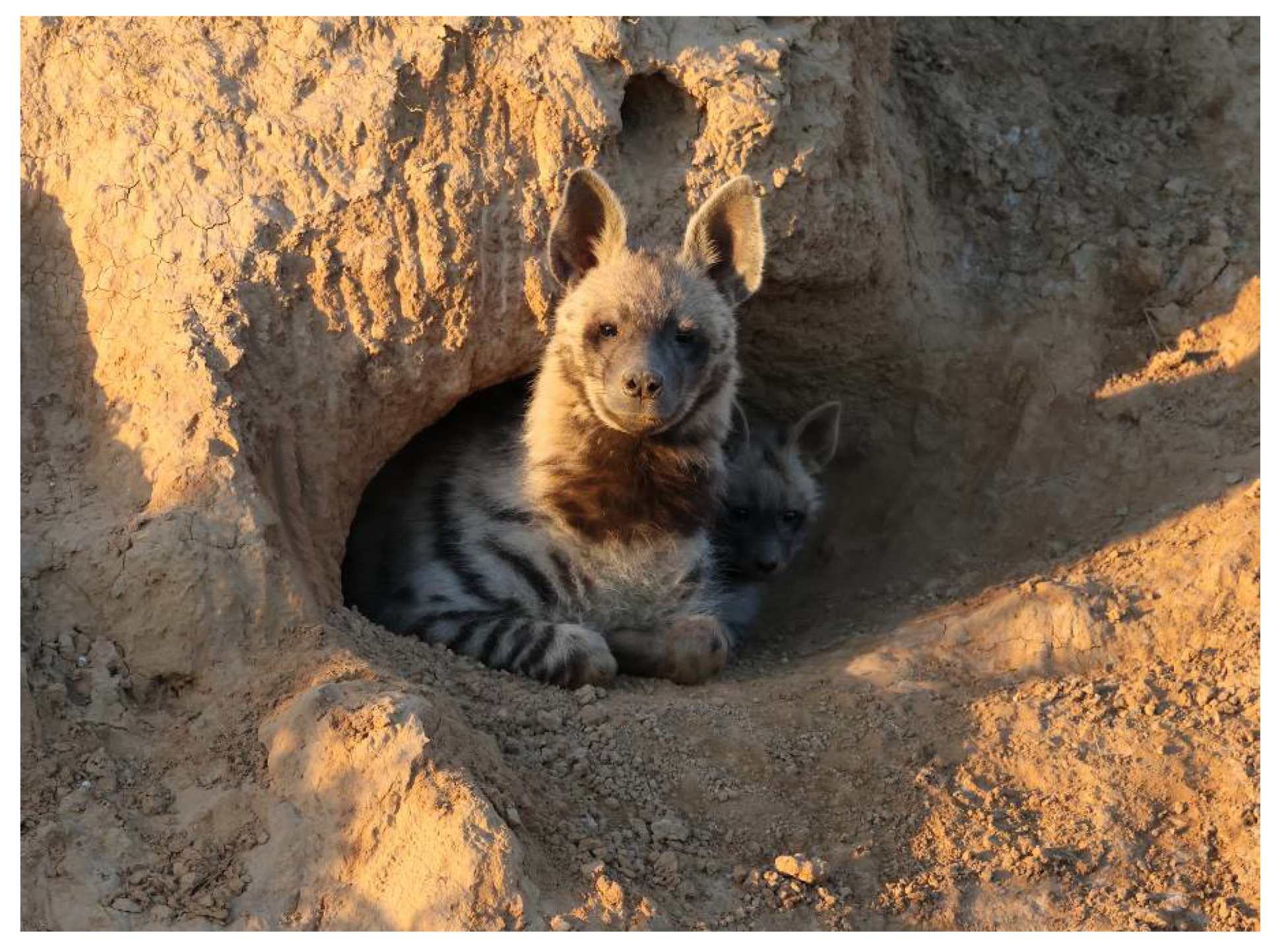 Animals 13 01914 g003 Animals 13 01914 g003