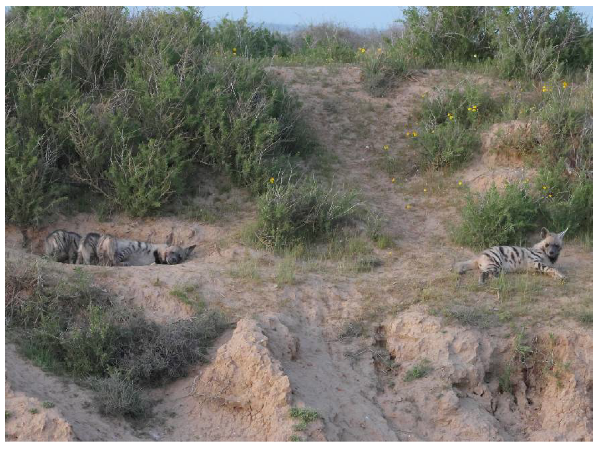 Animals 13 01914 g004 Animals 13 01914 g004