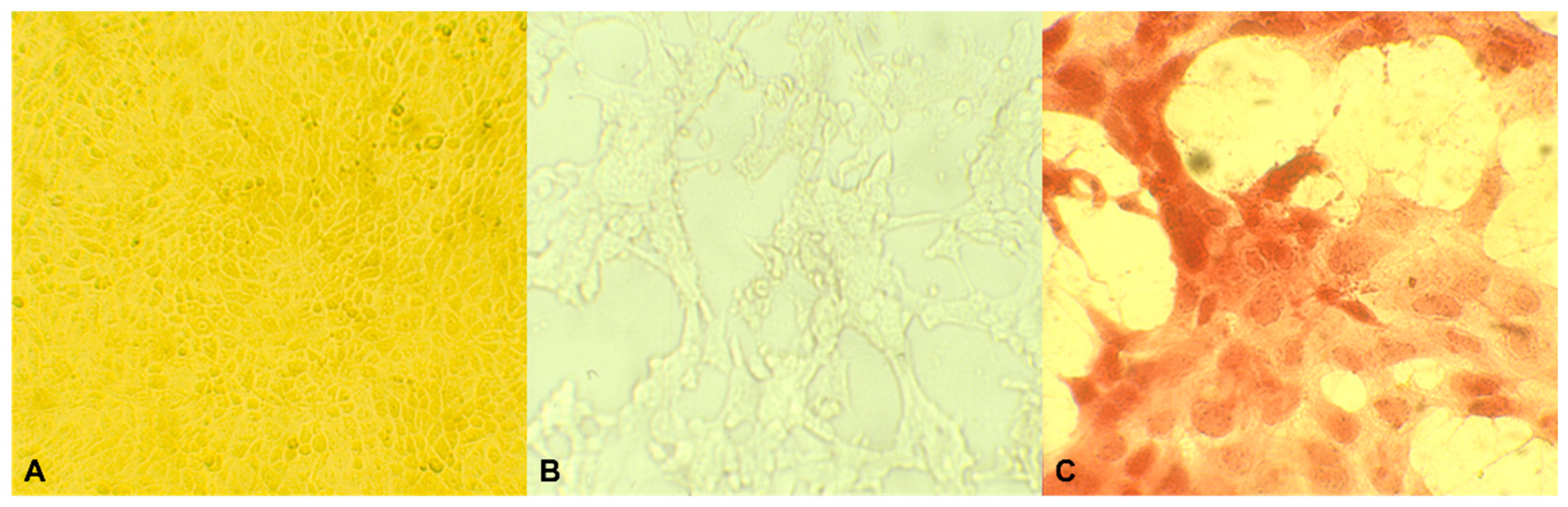 Animals 13 01920 g003