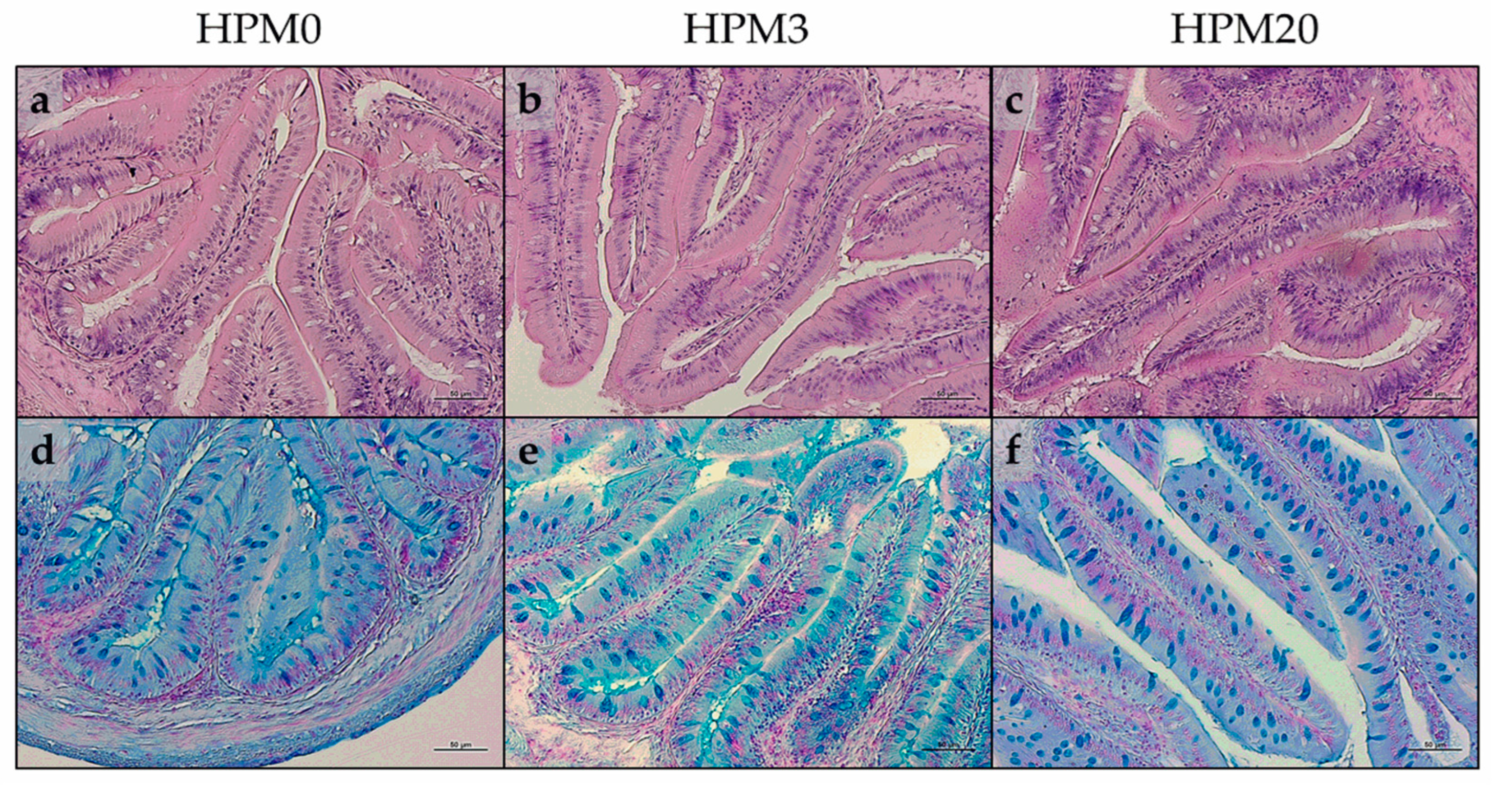 Animals 13 01921 g002