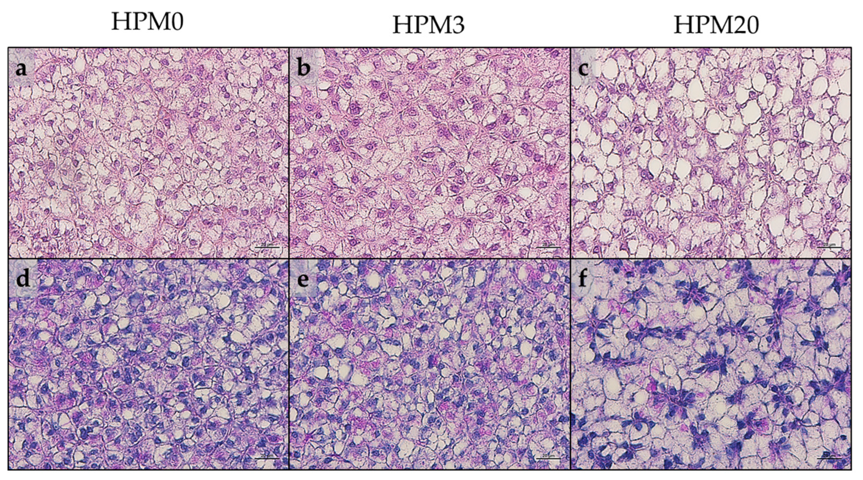 Animals 13 01921 g003