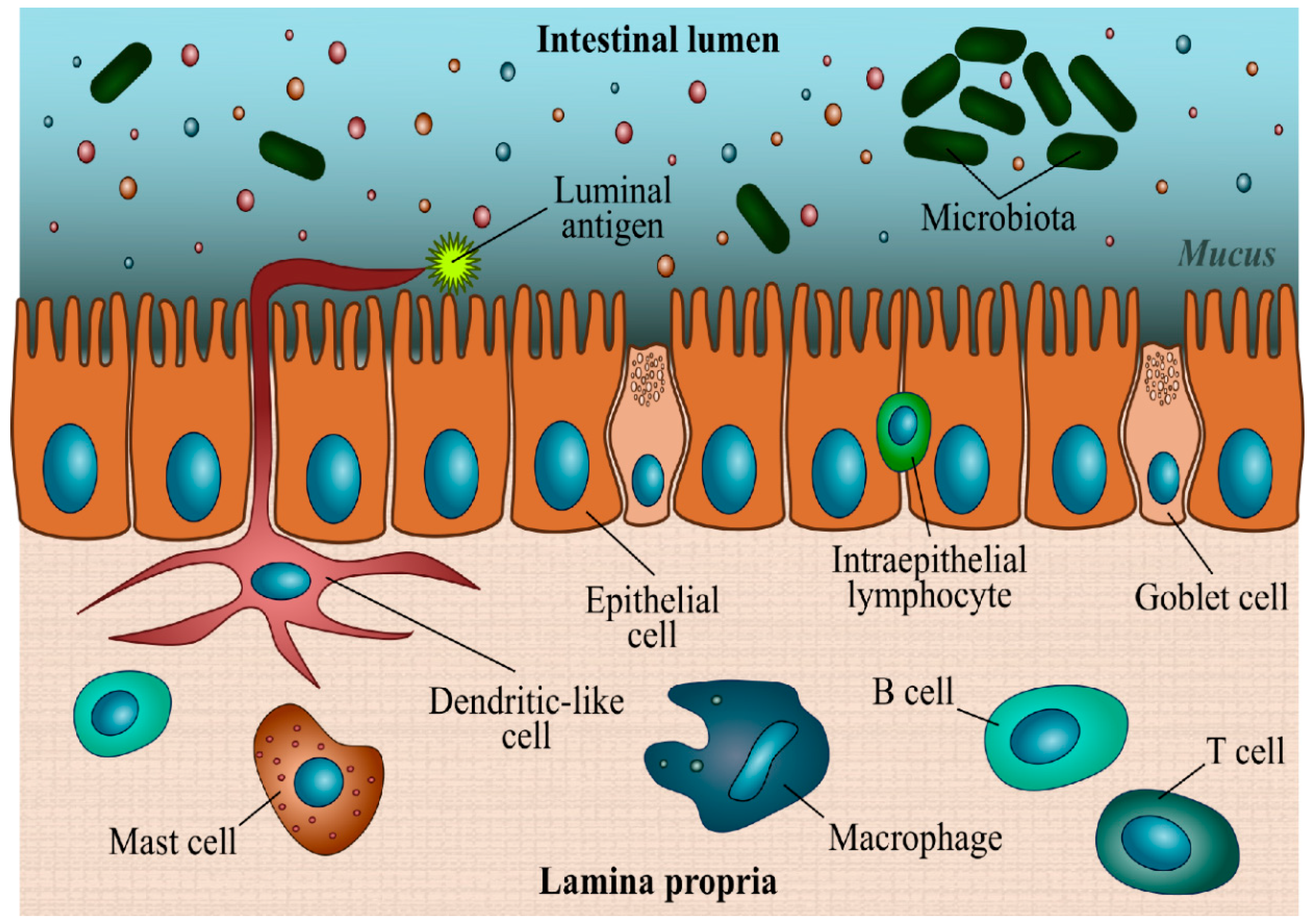 Animals 13 01922 g001