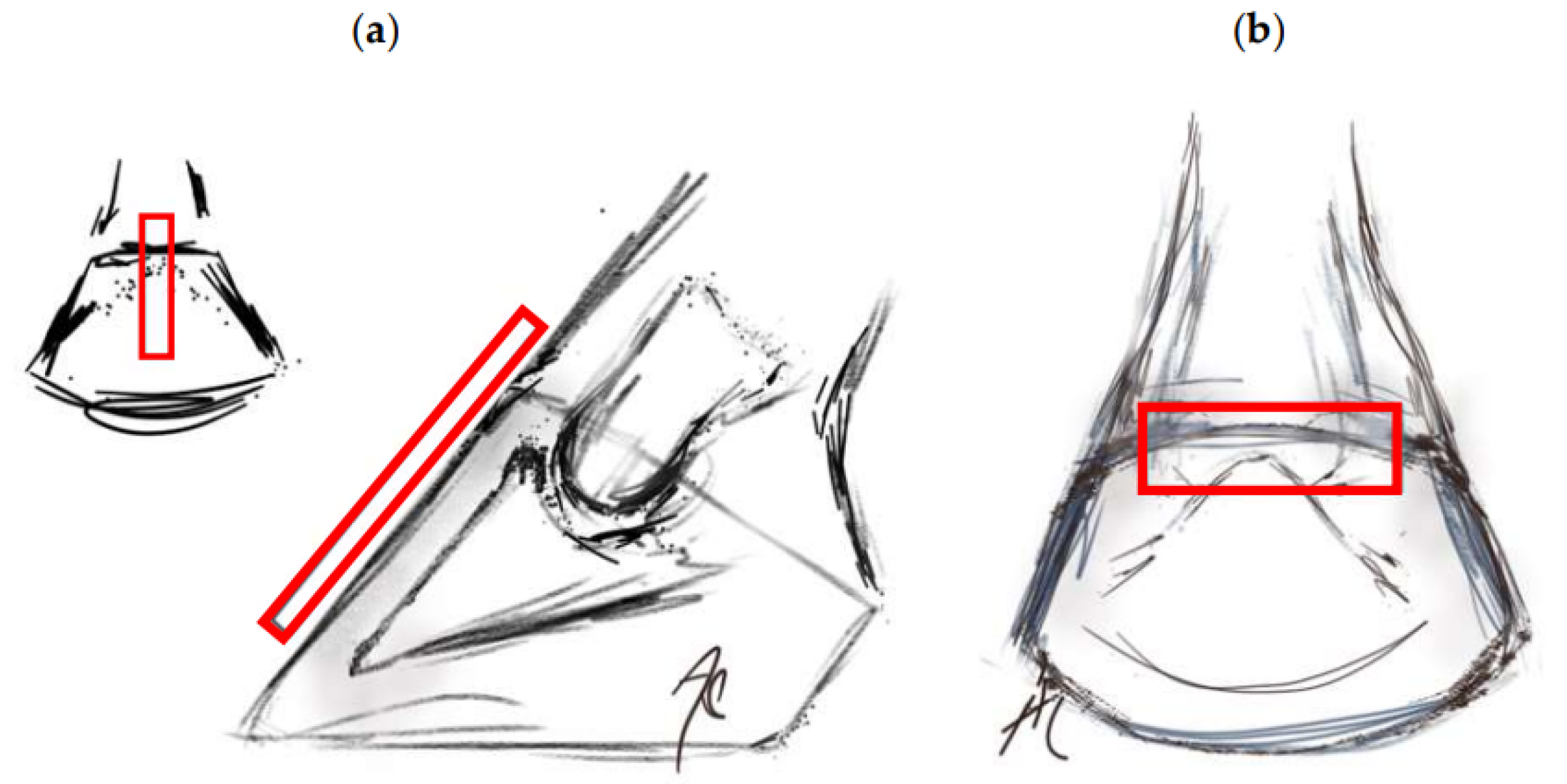 Animals 13 01951 g003