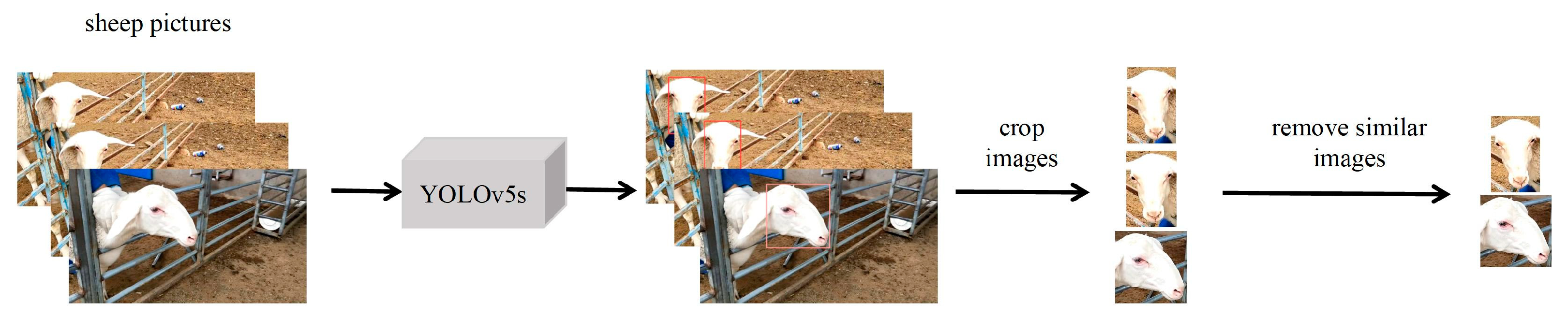 Animals 13 01957 g003