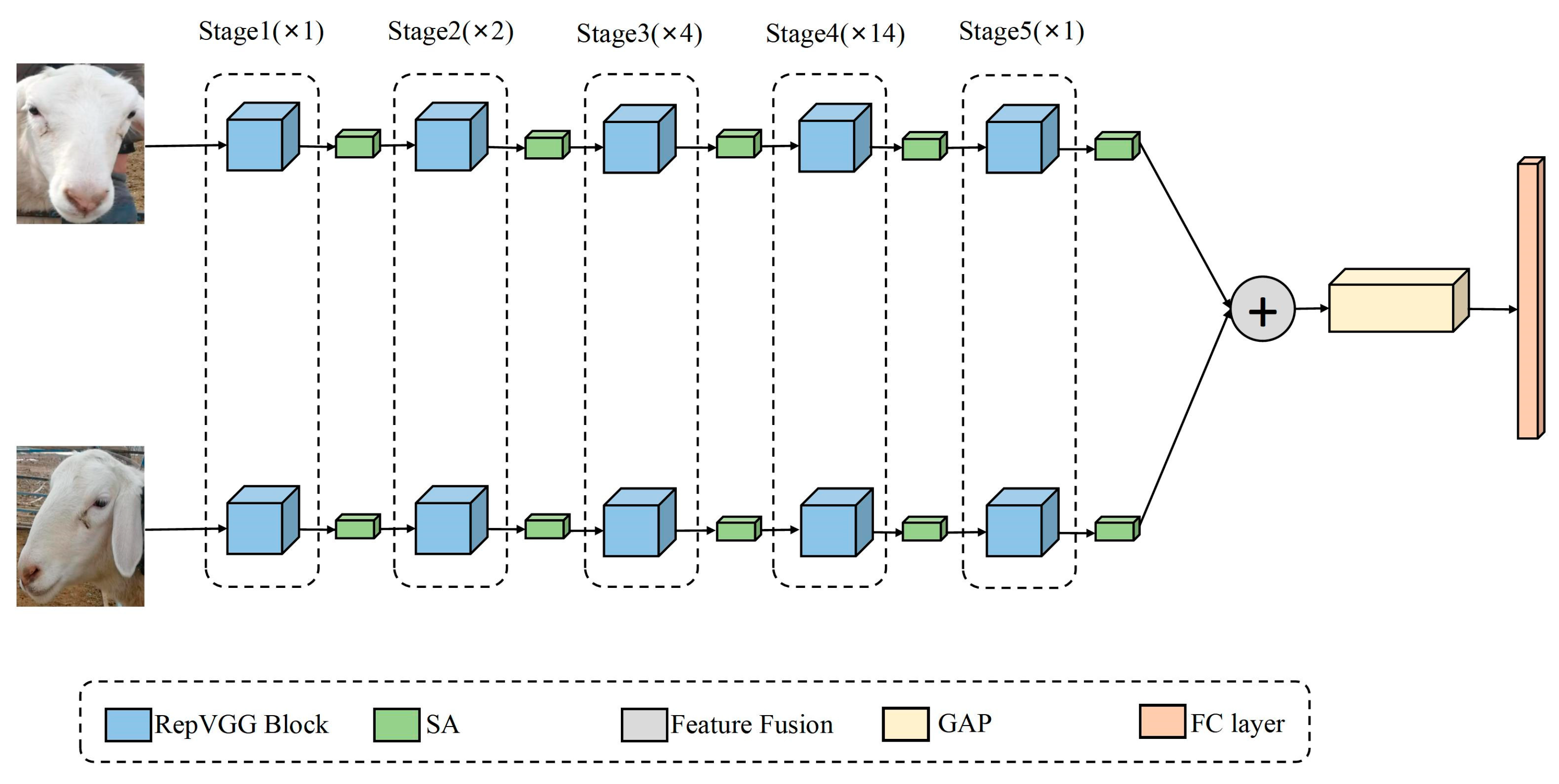 Animals 13 01957 g008