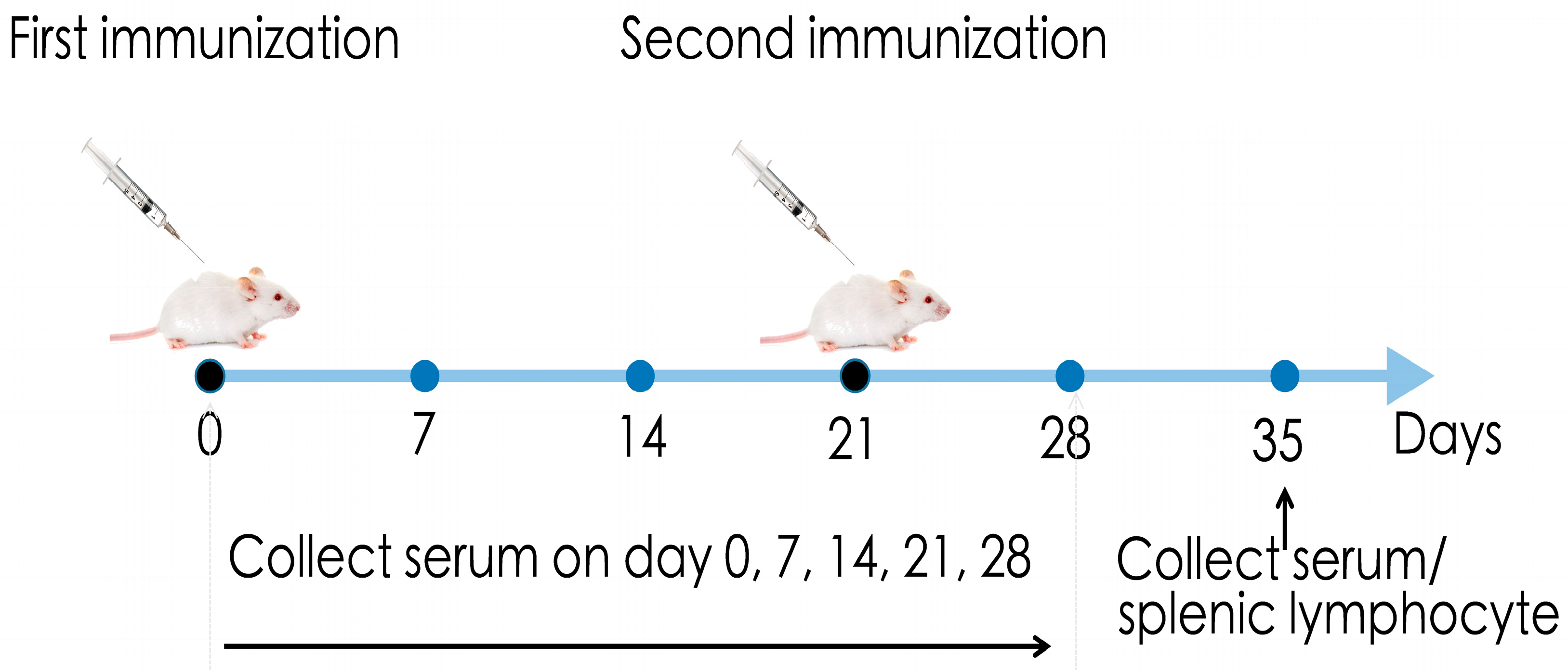 Animals 13 01967 g001