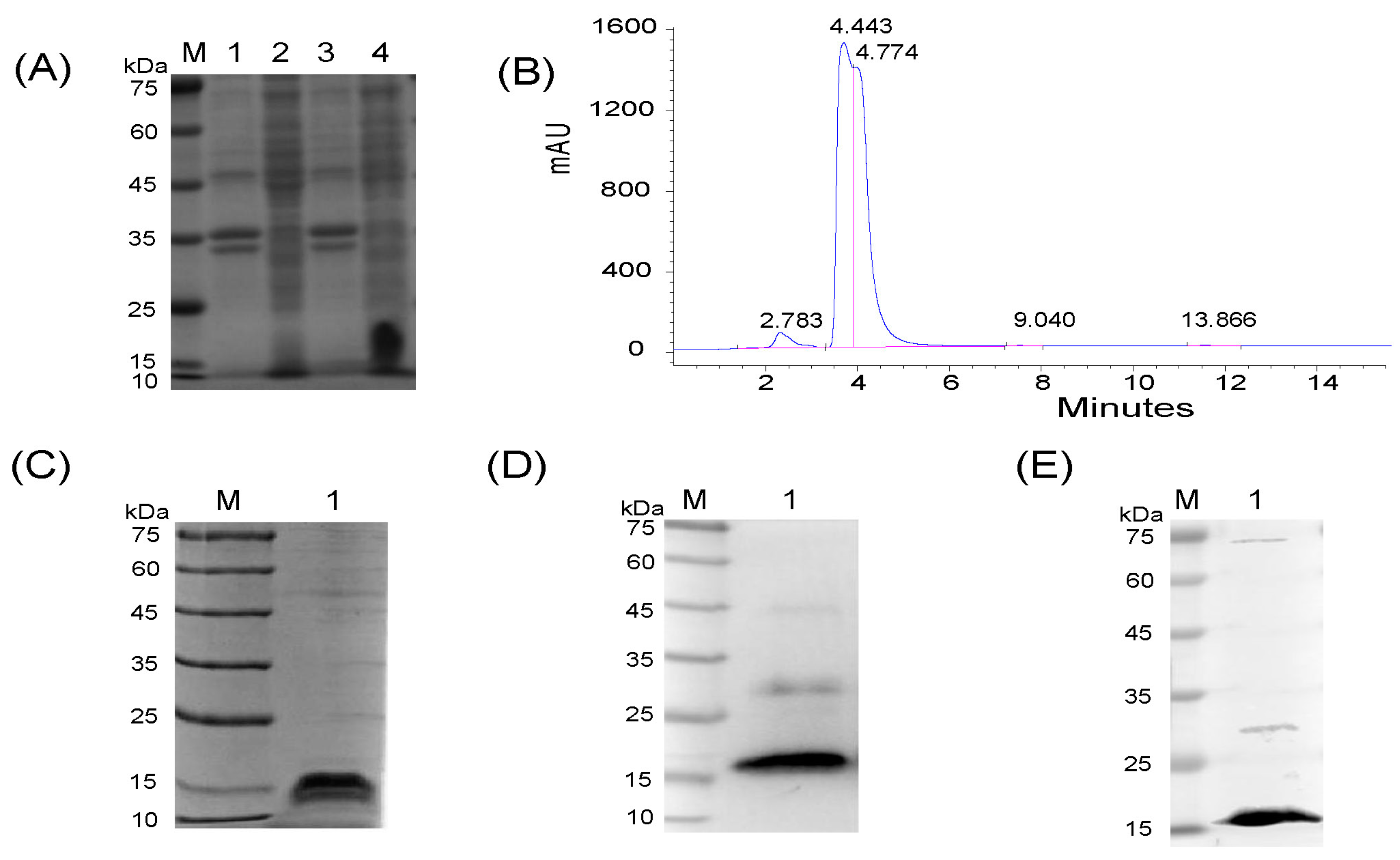 Animals 13 01967 g002