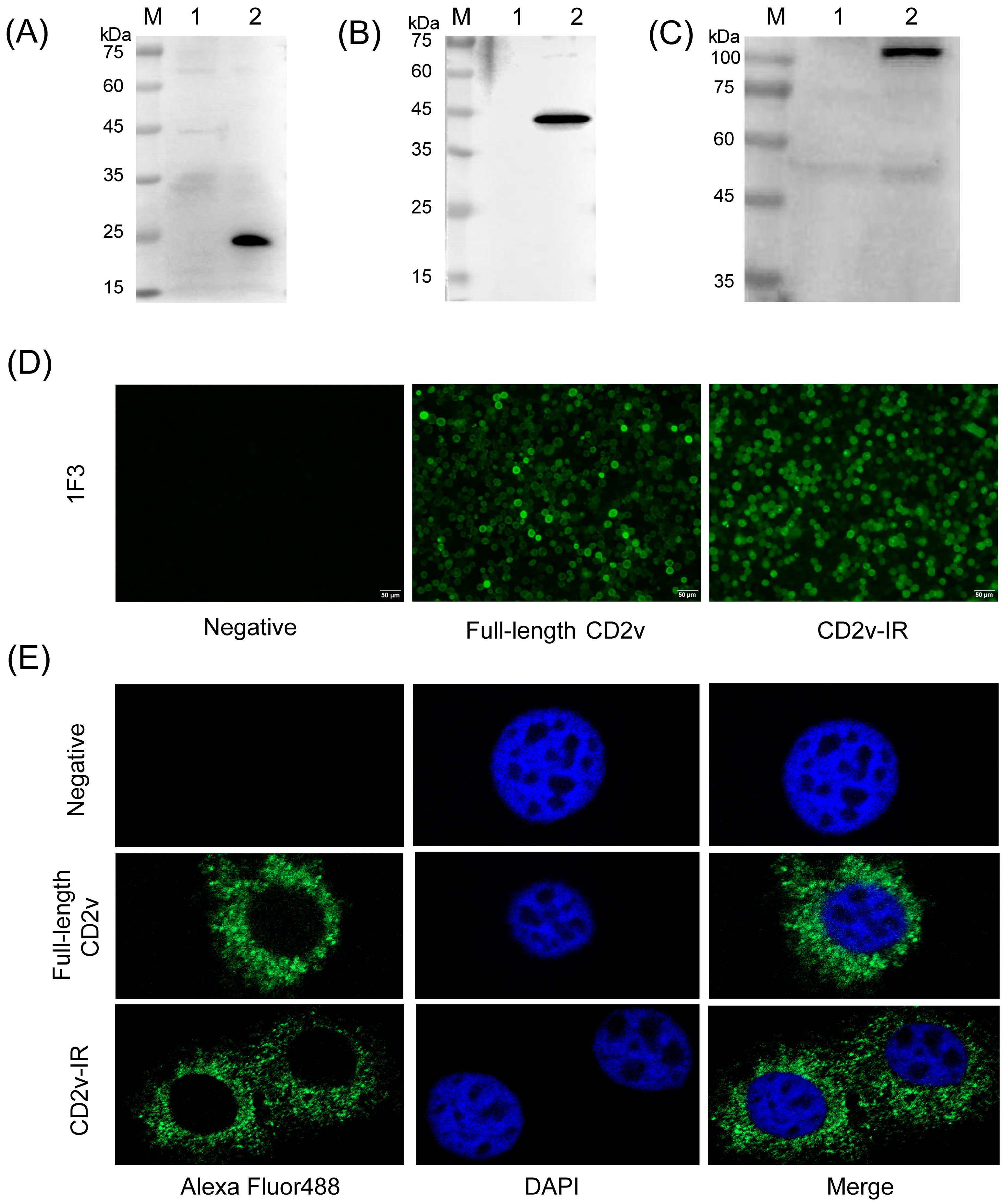 Animals 13 01967 g003