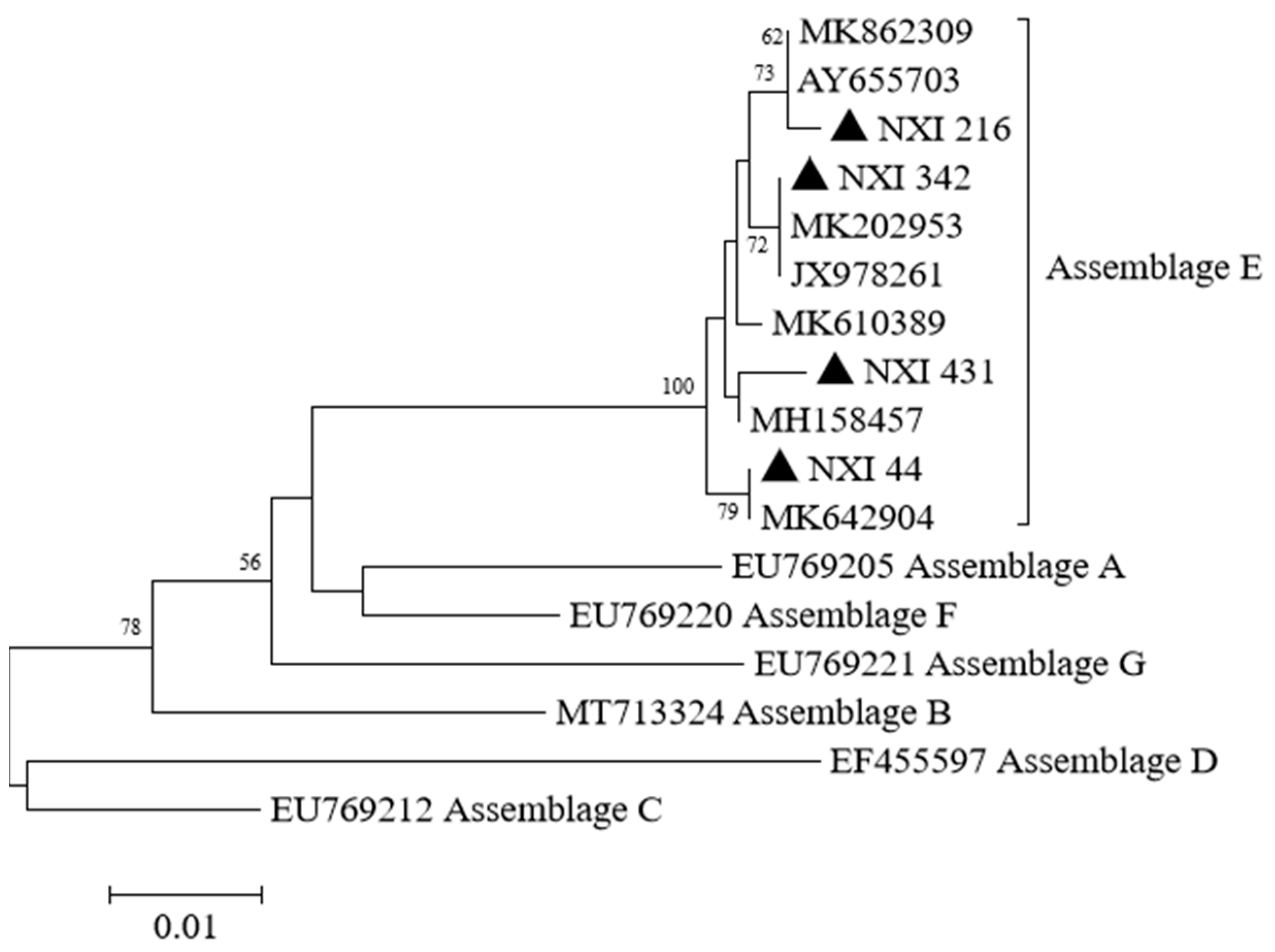 Animals 13 01983 g003