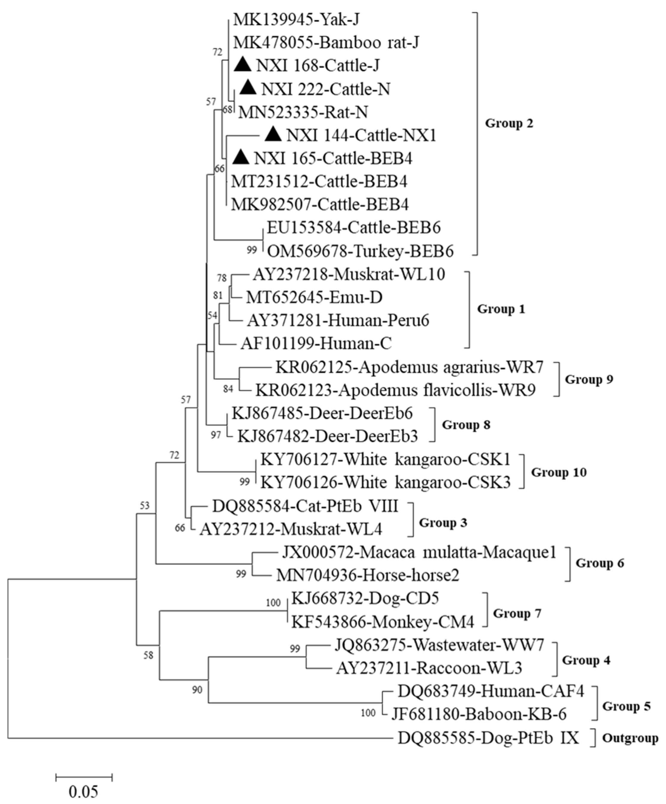 Animals 13 01983 g004