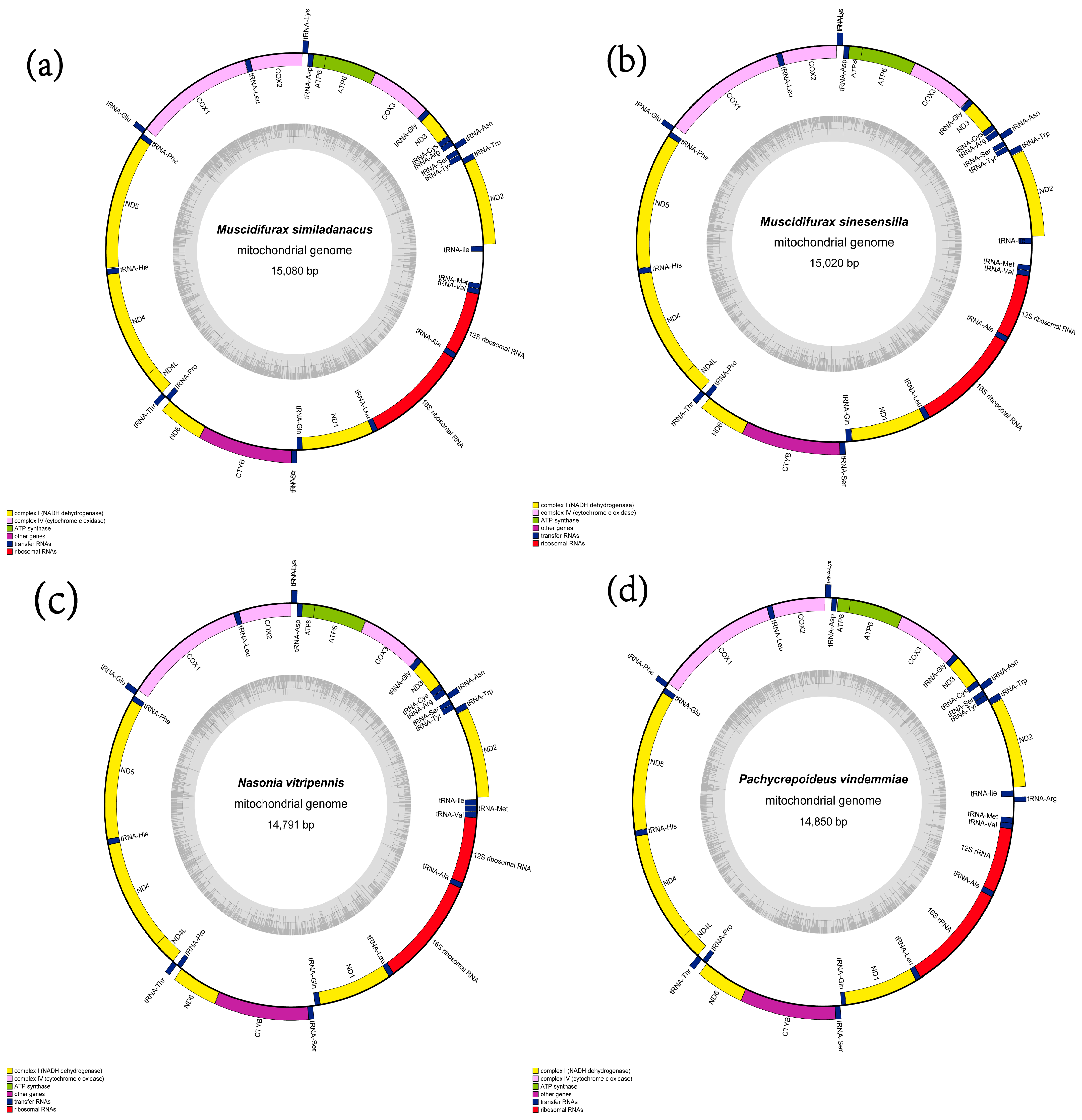 Animals 13 01985 g001