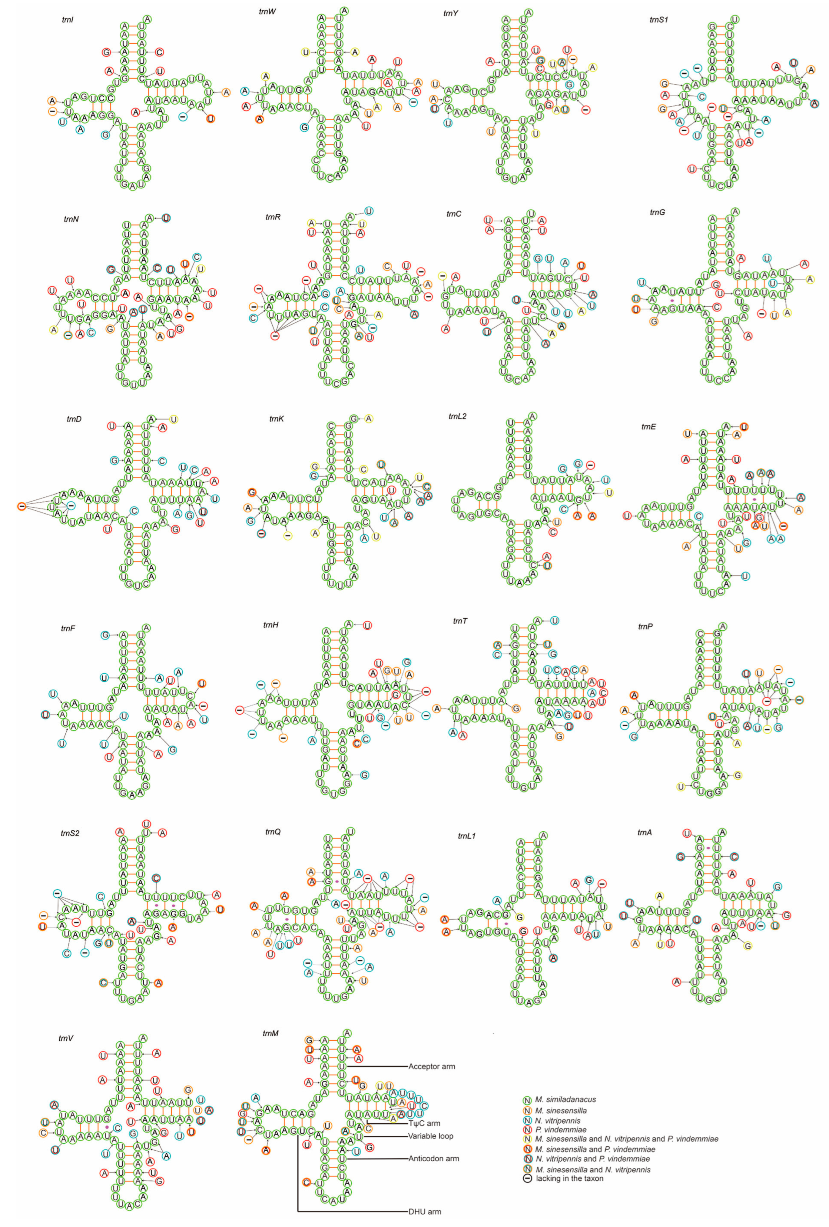 Animals 13 01985 g002