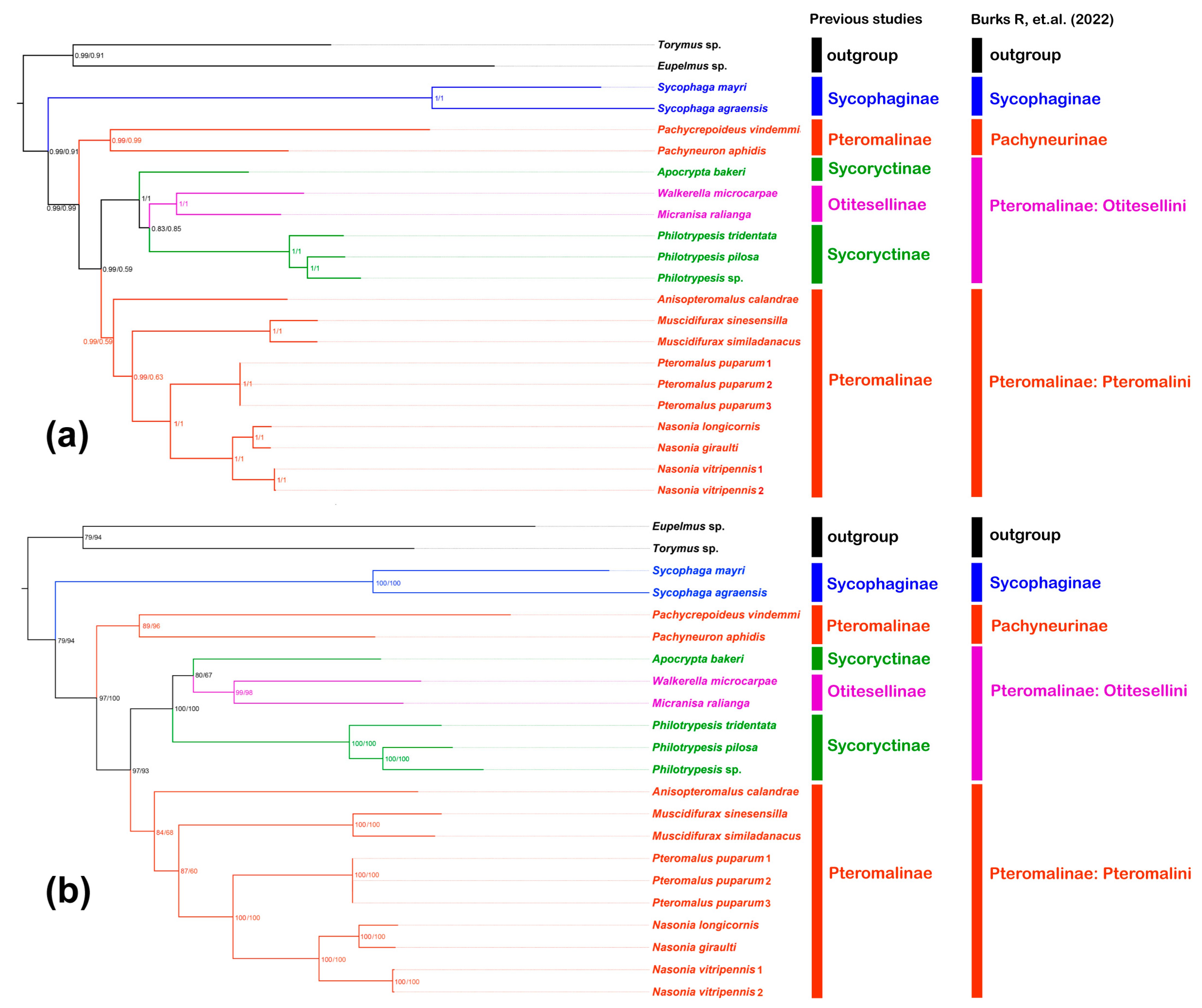 Animals 13 01985 g005