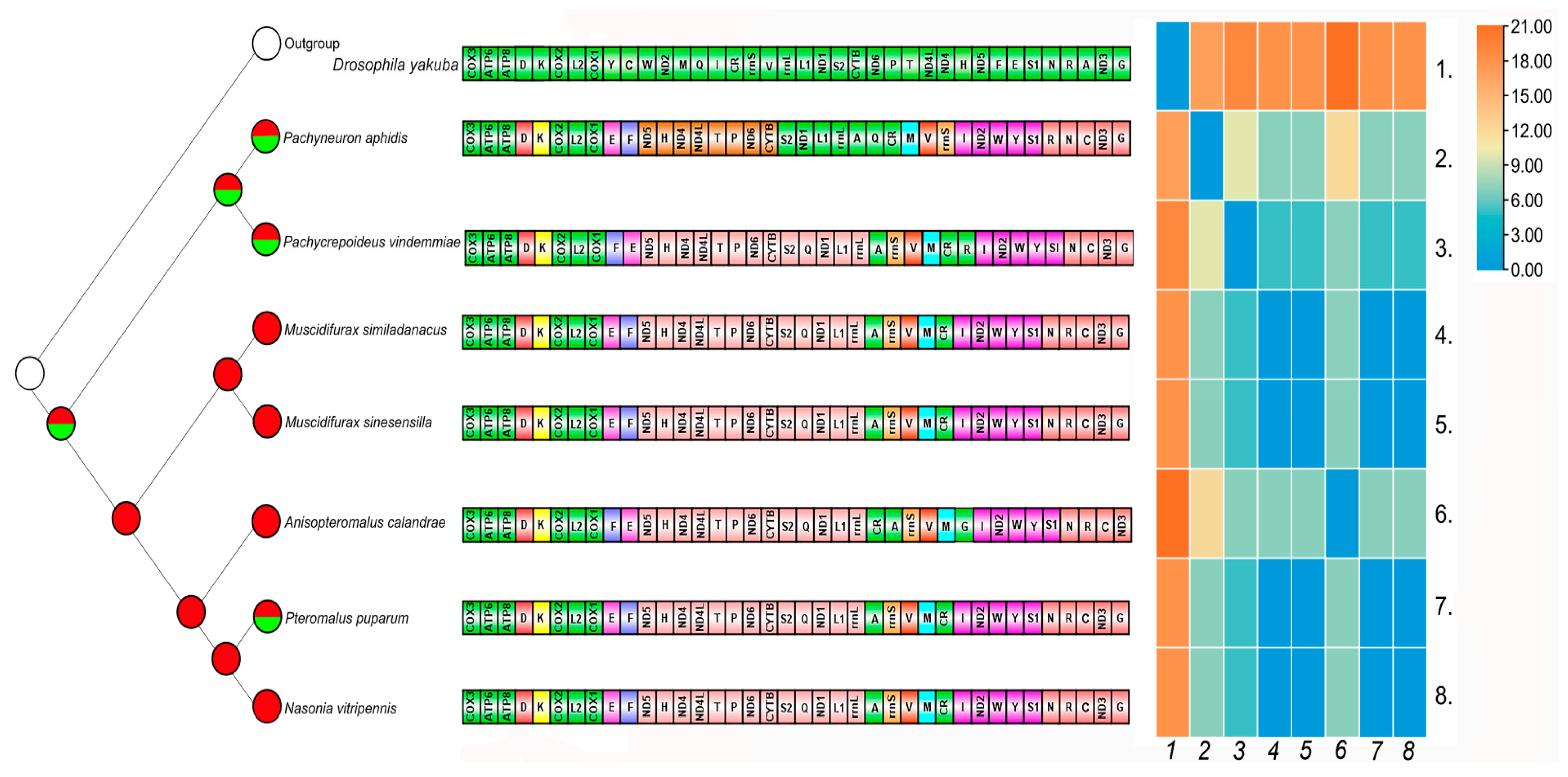 Animals 13 01985 g006