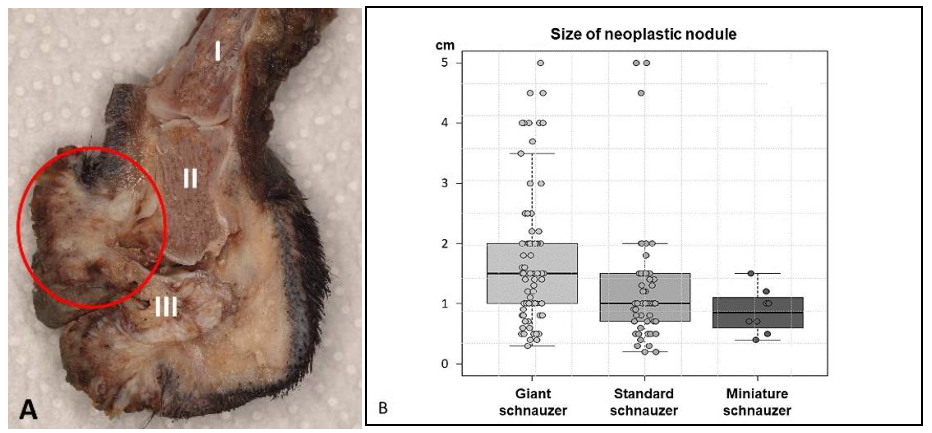 Animals 13 01990 g003