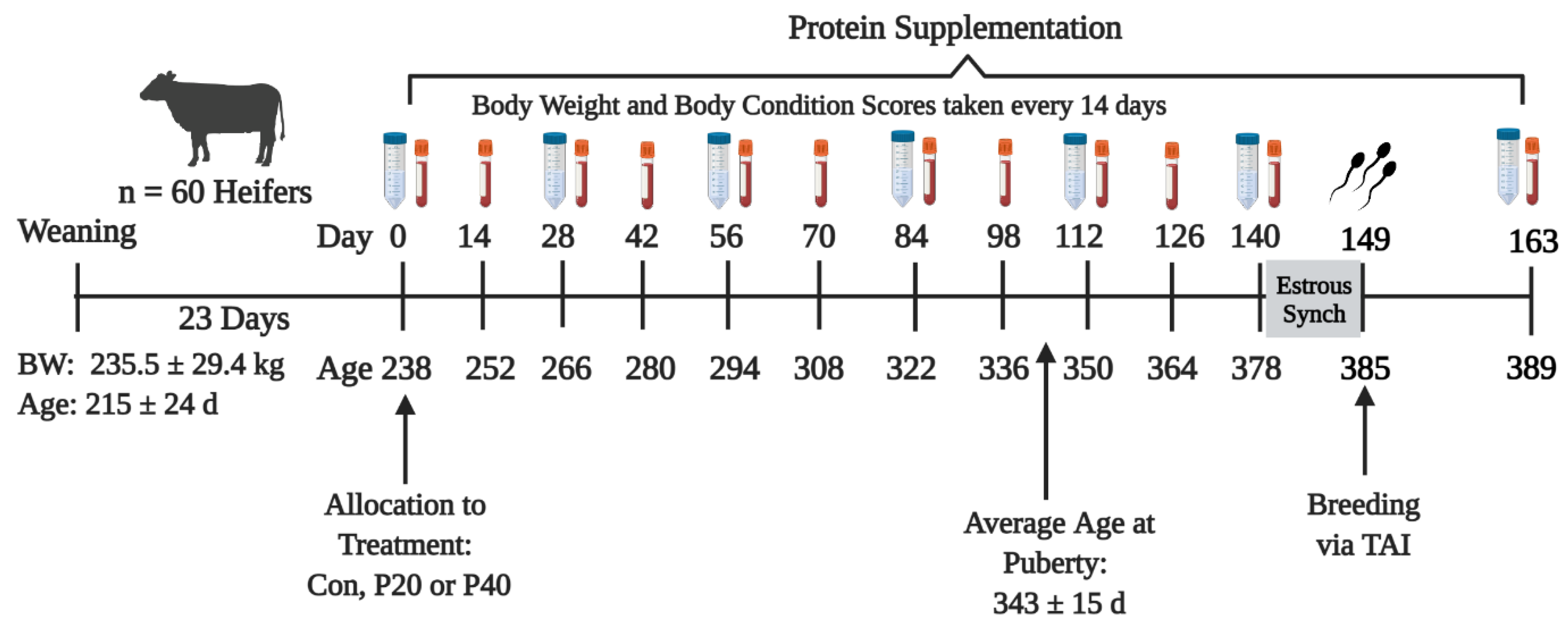 Animals 13 01995 g001