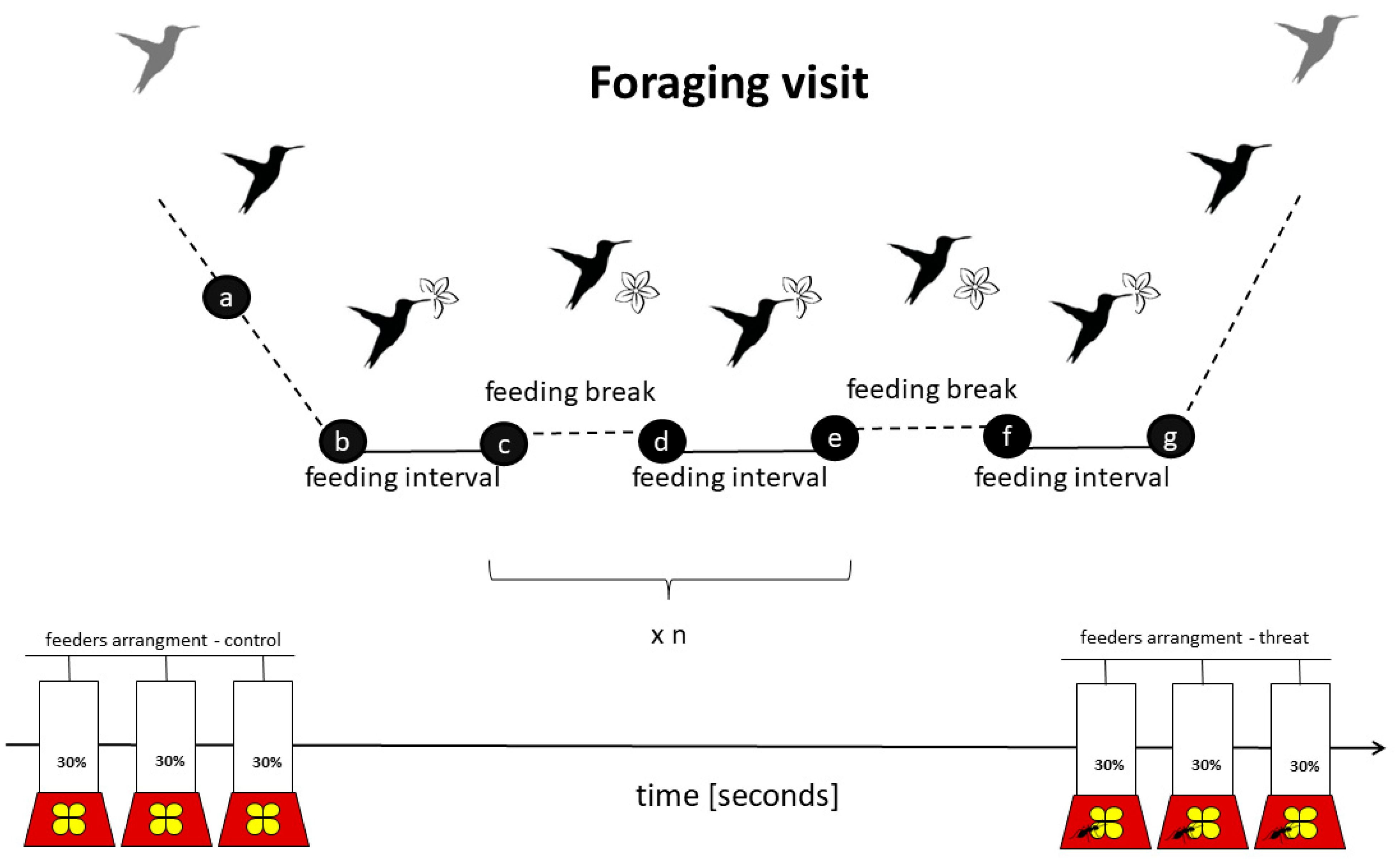 Animals 13 01997 g001