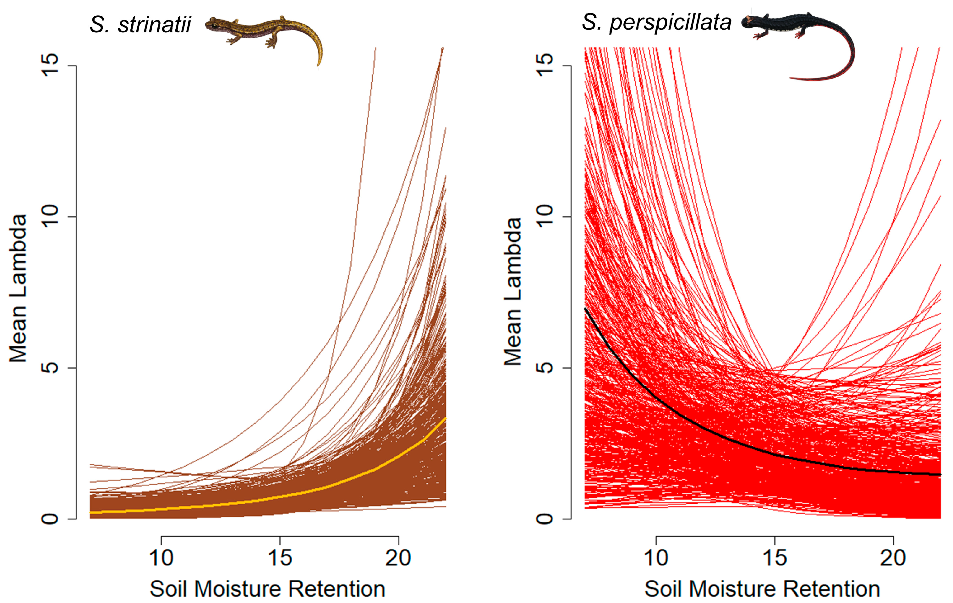 Animals 13 02003 g001