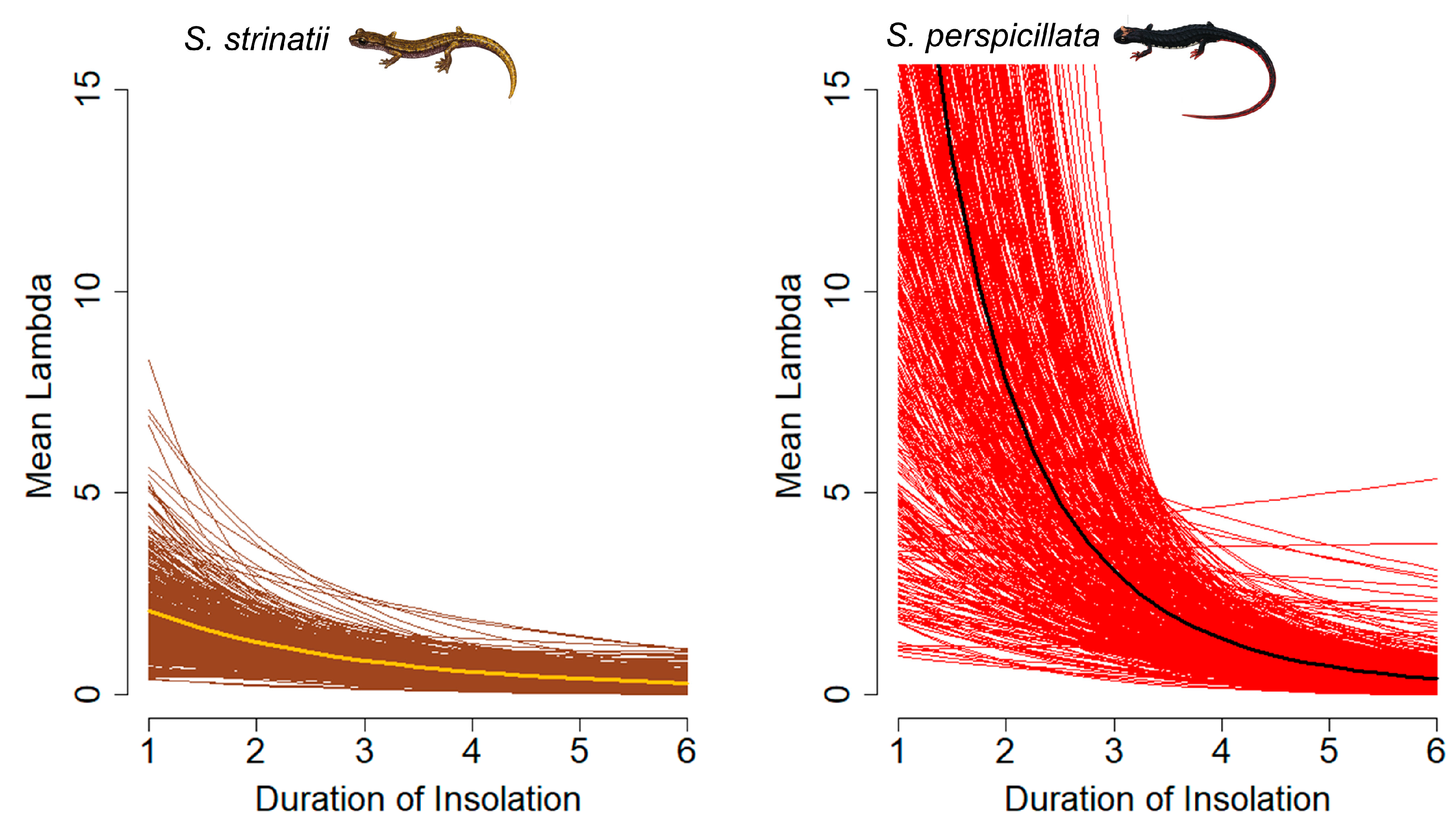 Animals 13 02003 g002