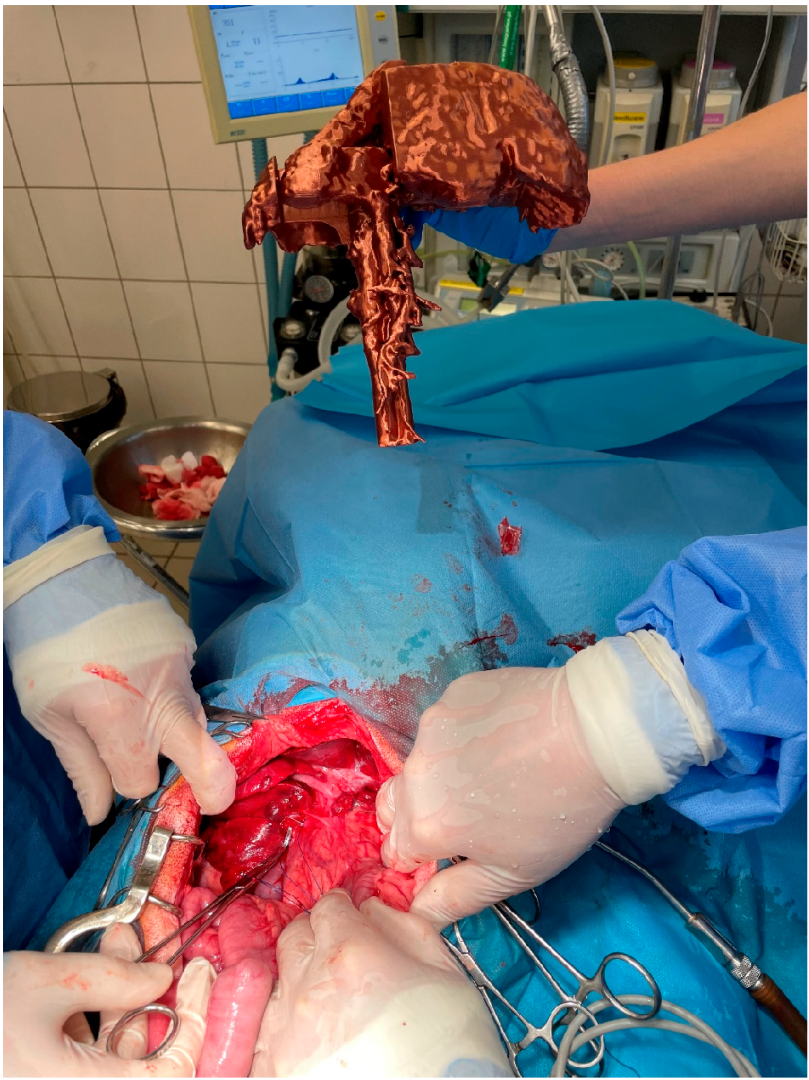 Animals 13 02004 g001 Animals 13 02004 g001