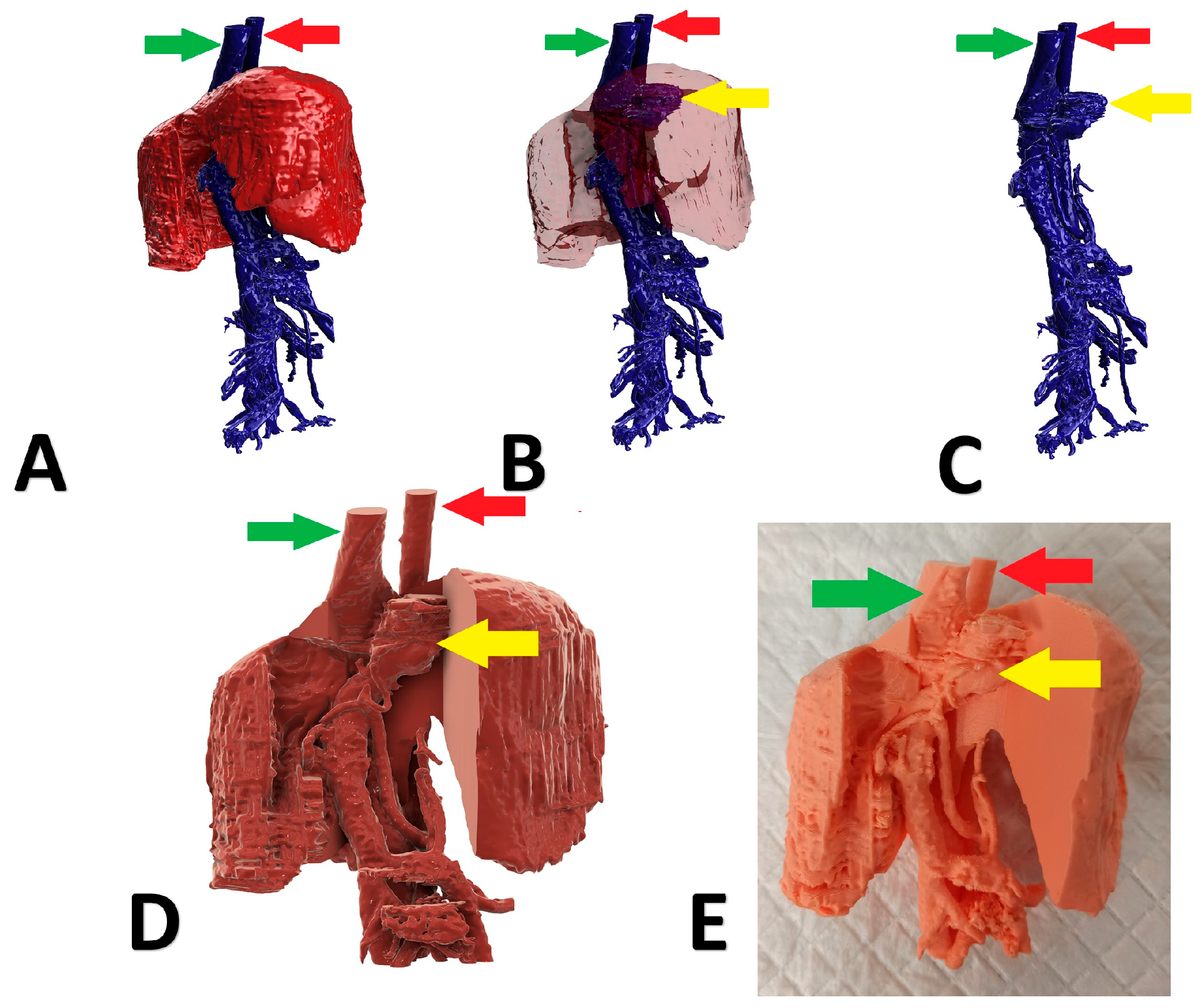 Animals 13 02004 g003 Animals 13 02004 g003