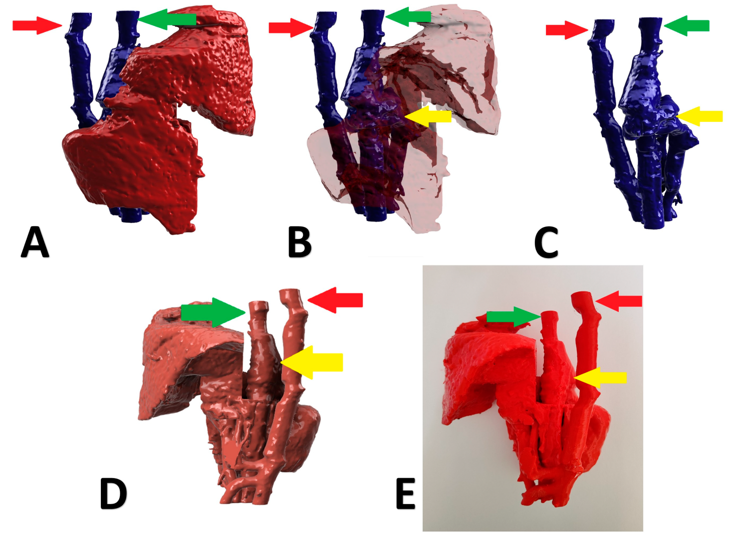 Animals 13 02004 g004 Animals 13 02004 g004