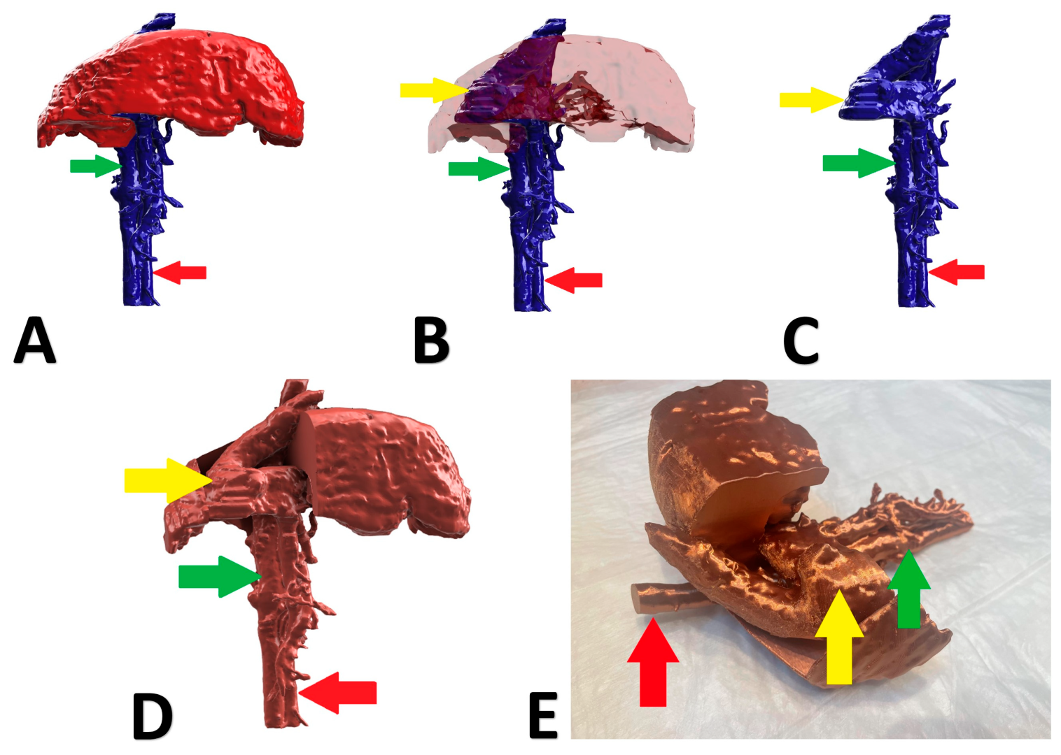 Animals 13 02004 g005 Animals 13 02004 g005