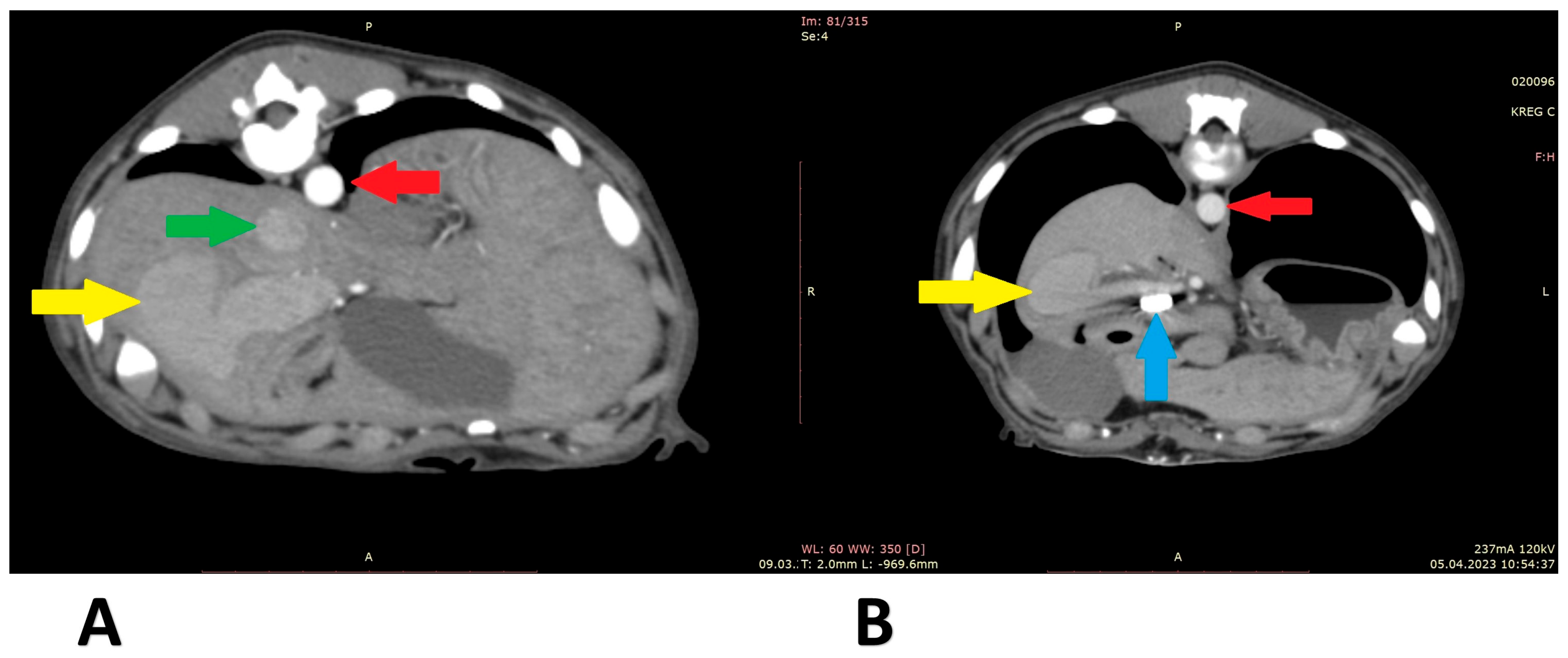 Animals 13 02004 g006 Animals 13 02004 g006