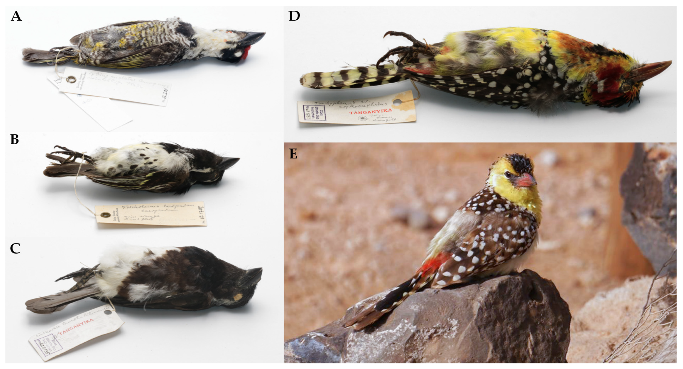 Animals 13 02007 g001