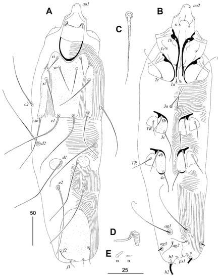 Animals 13 02007 g002