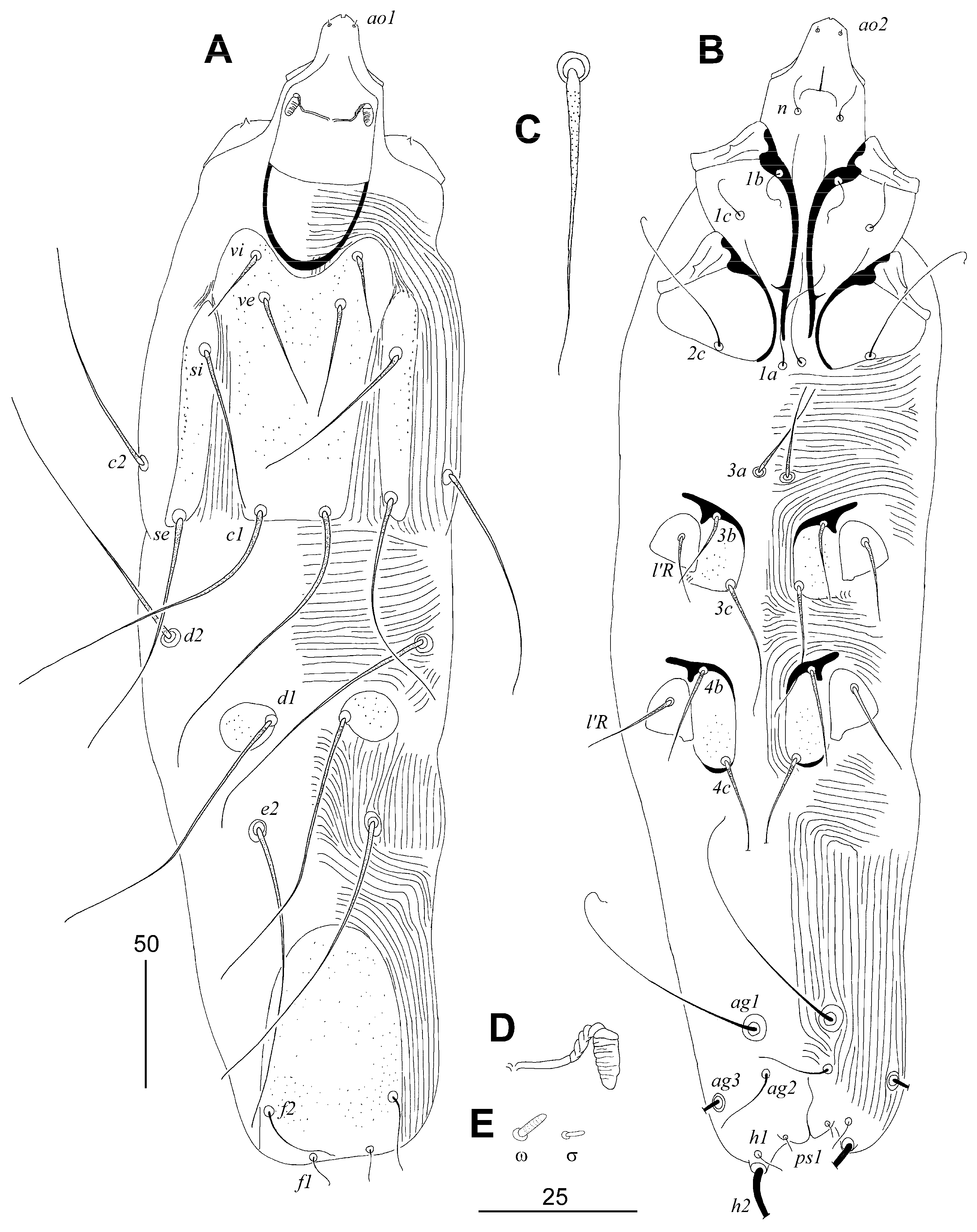 Animals 13 02007 g002