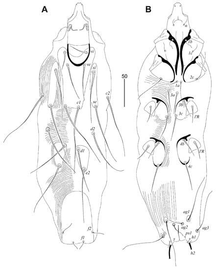 Animals 13 02007 g003