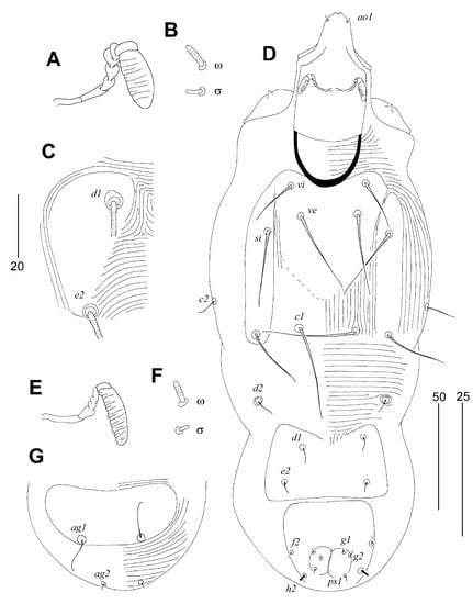 Animals 13 02007 g004