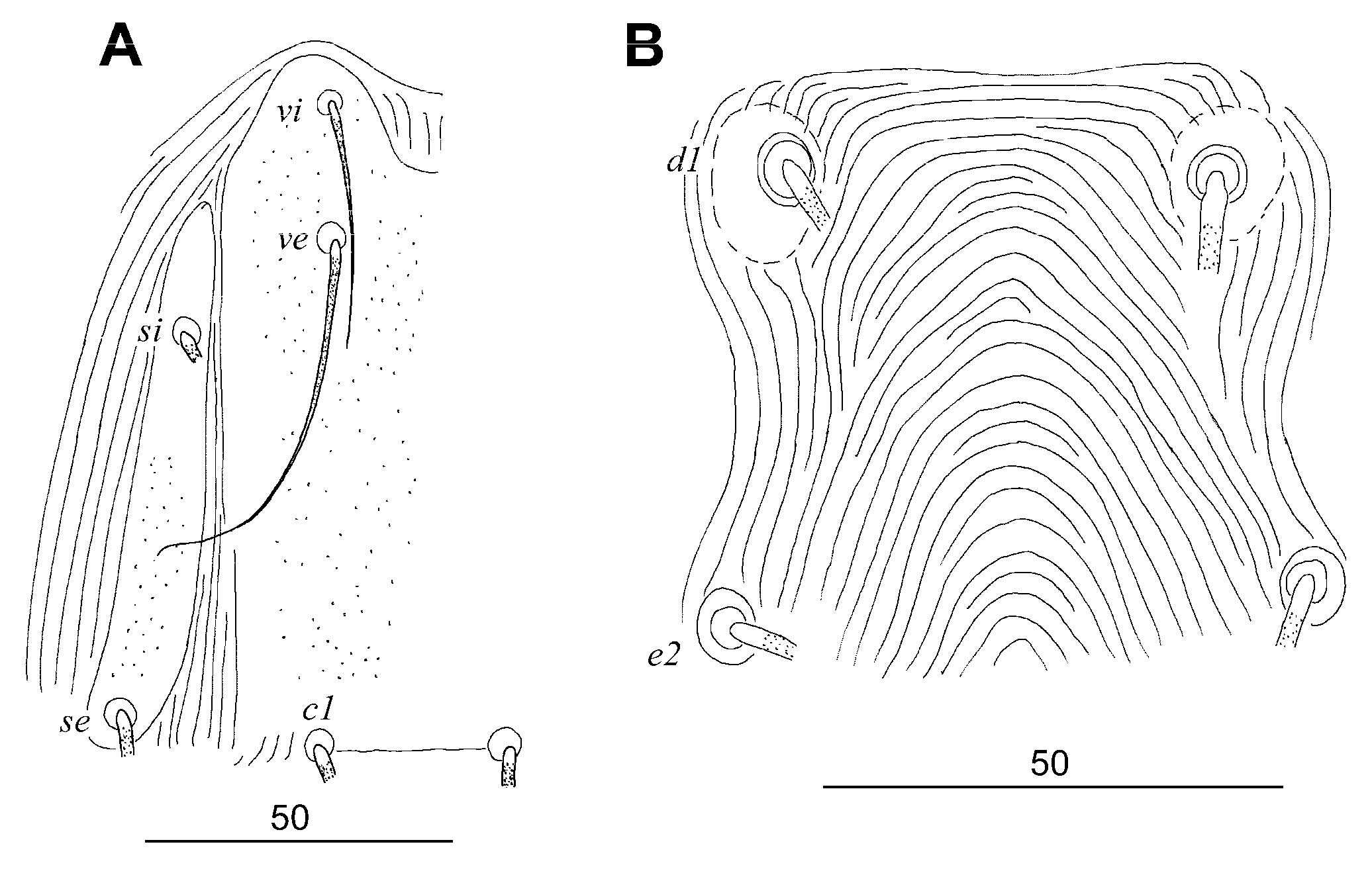 Animals 13 02007 g005