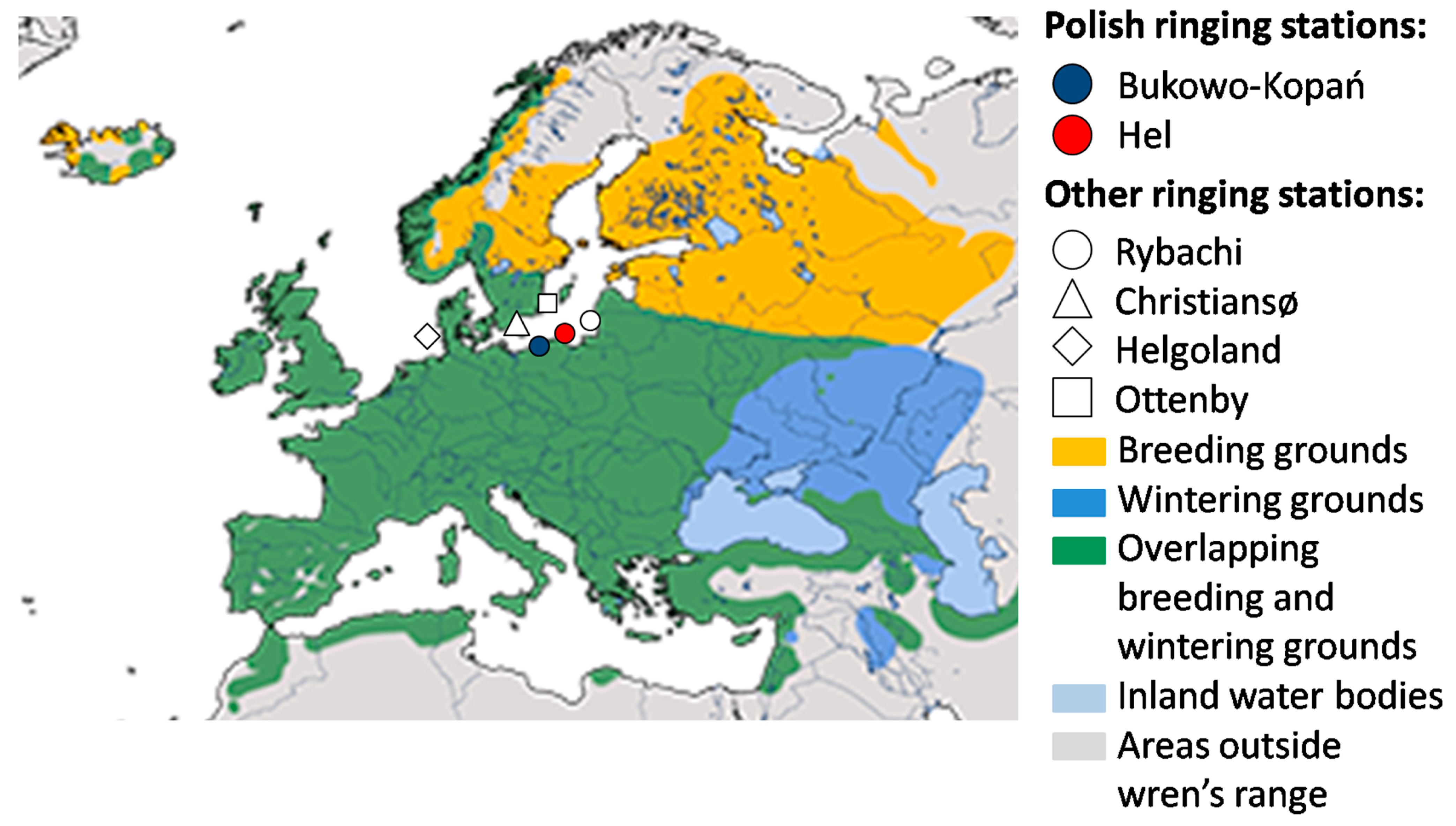 Animals 13 02015 g001 Animals 13 02015 g001