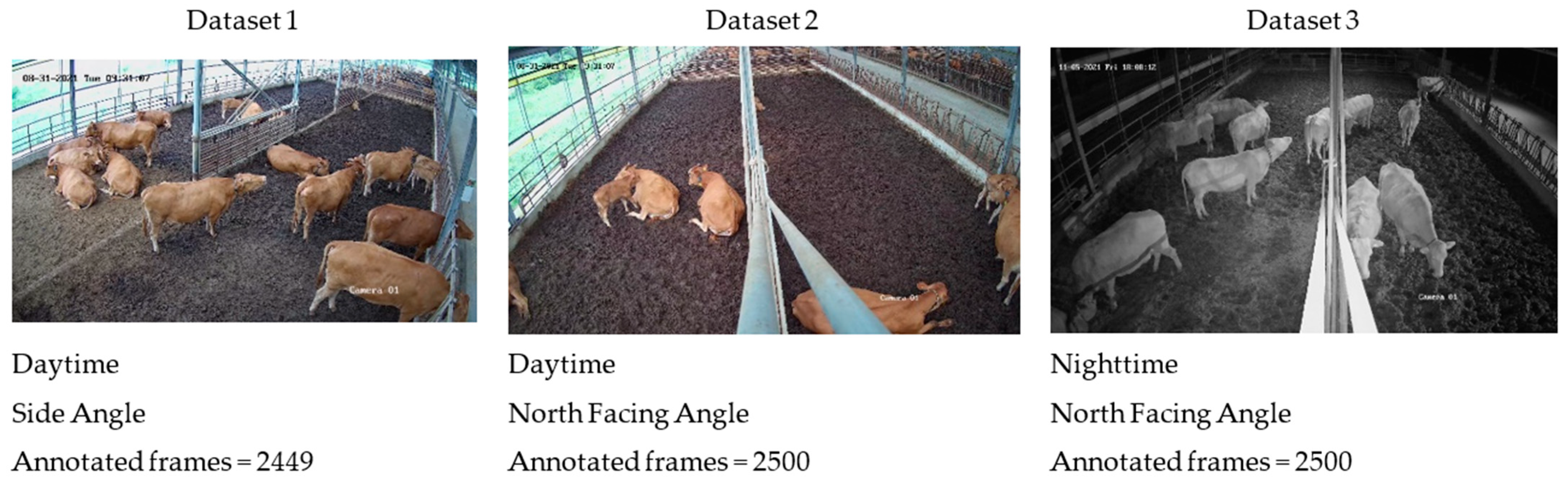 Animals 13 02020 g002