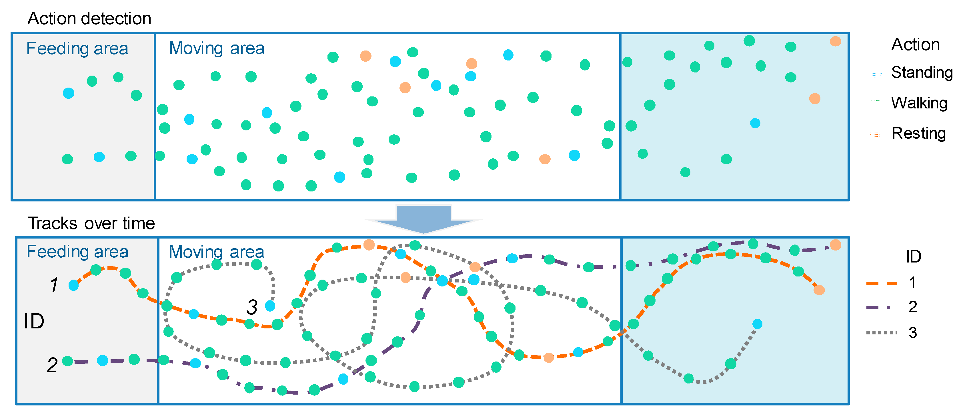 Animals 13 02020 g005