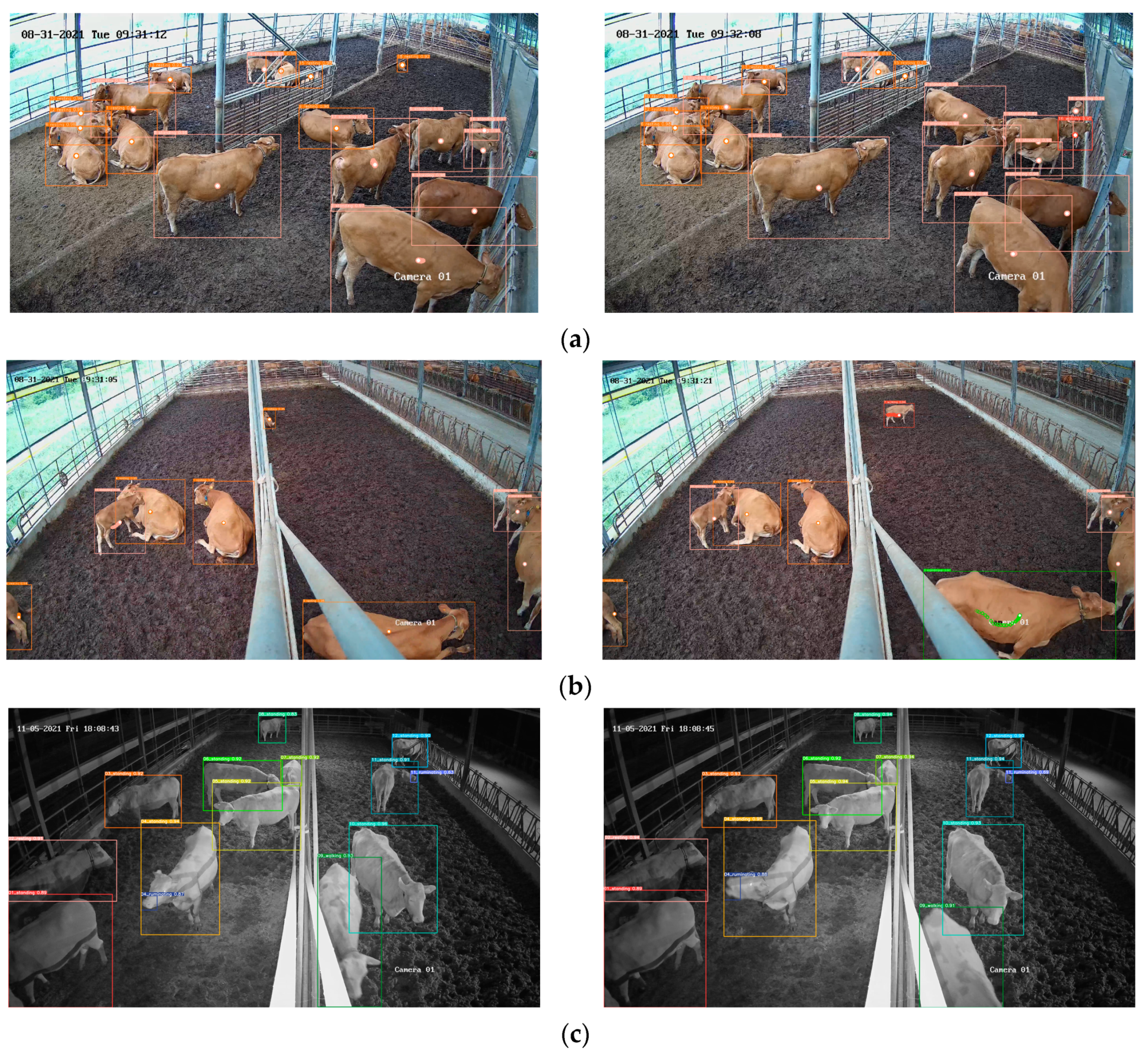 Animals 13 02020 g010