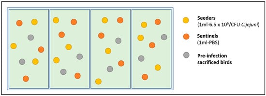 Animals 13 02037 g002