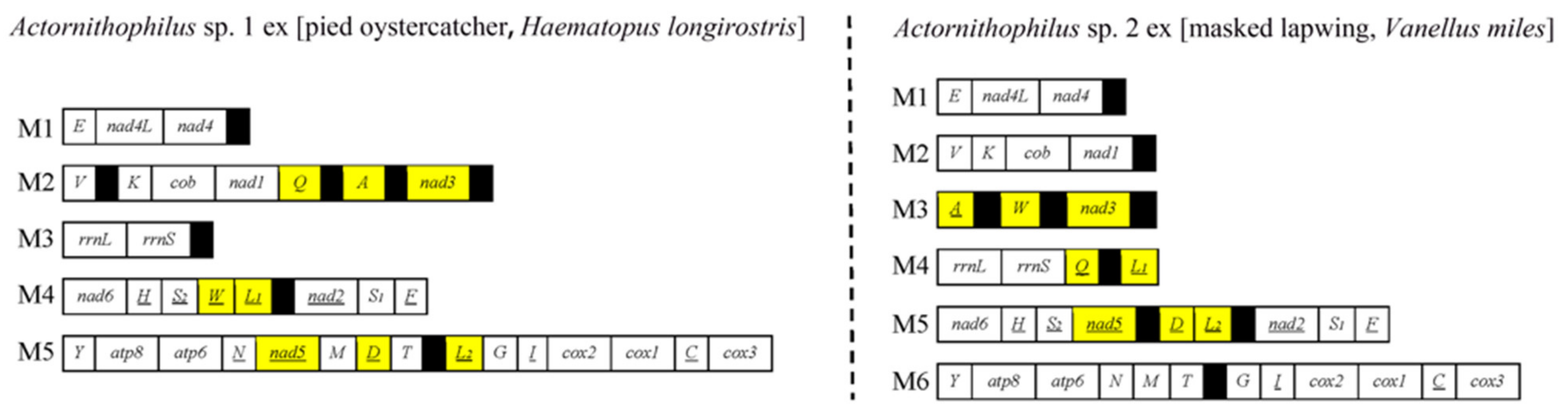Animals 13 02046 g002