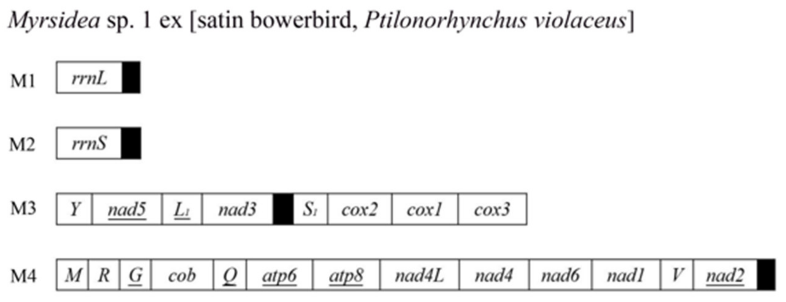 Animals 13 02046 g003